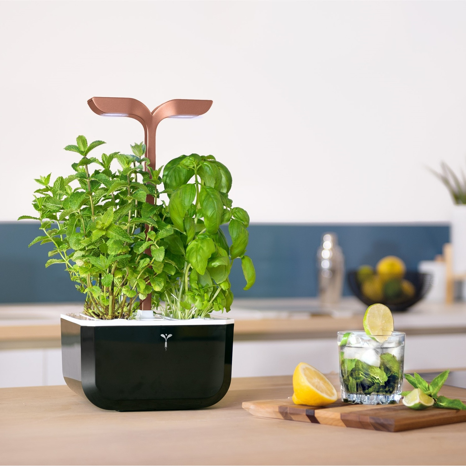 Orto con menta e basilico, un cocktail e un limone su un tagliere di legno.