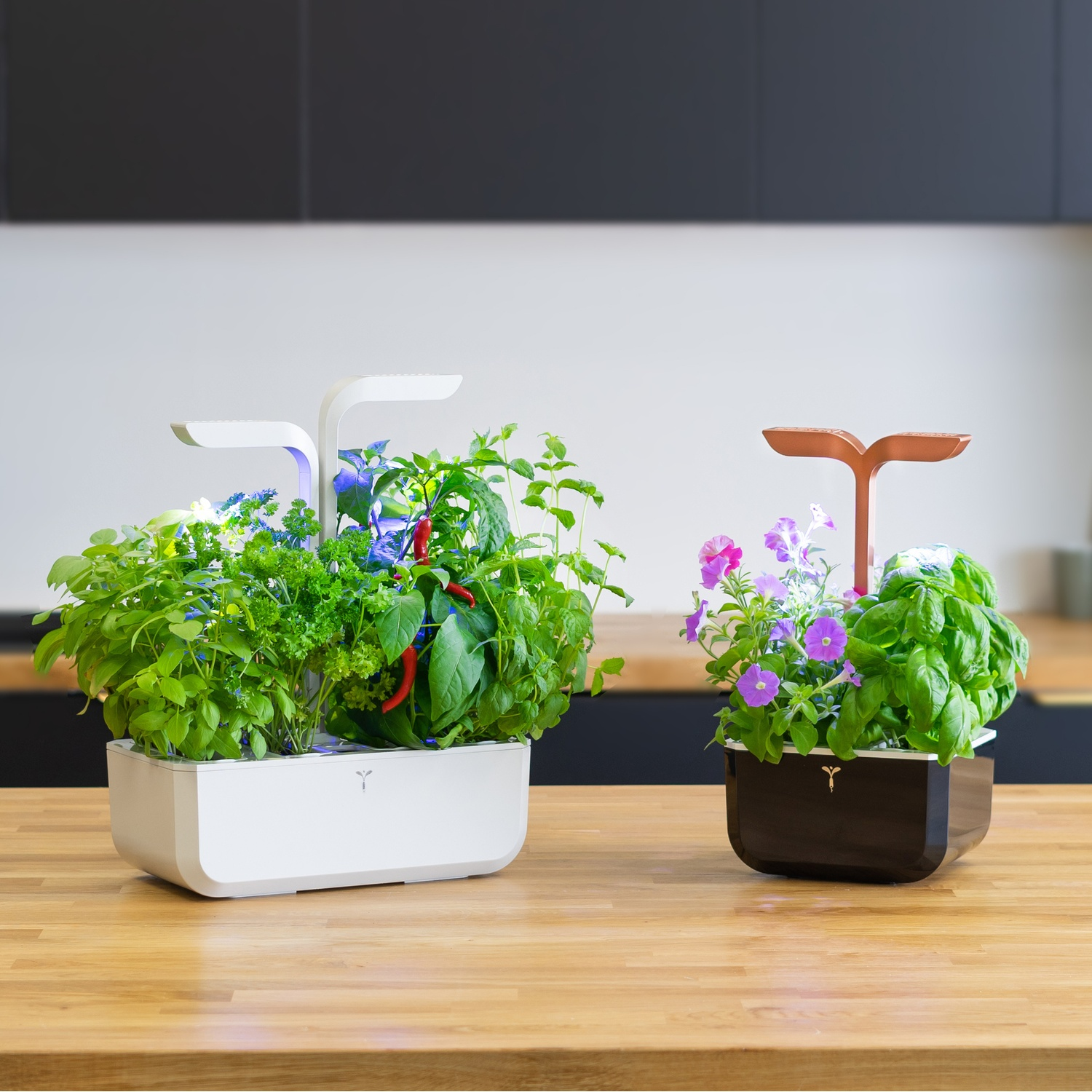 Due orti di erbe aromatiche da interno. Contenitori bianchi e neri con piante e luci di crescita.