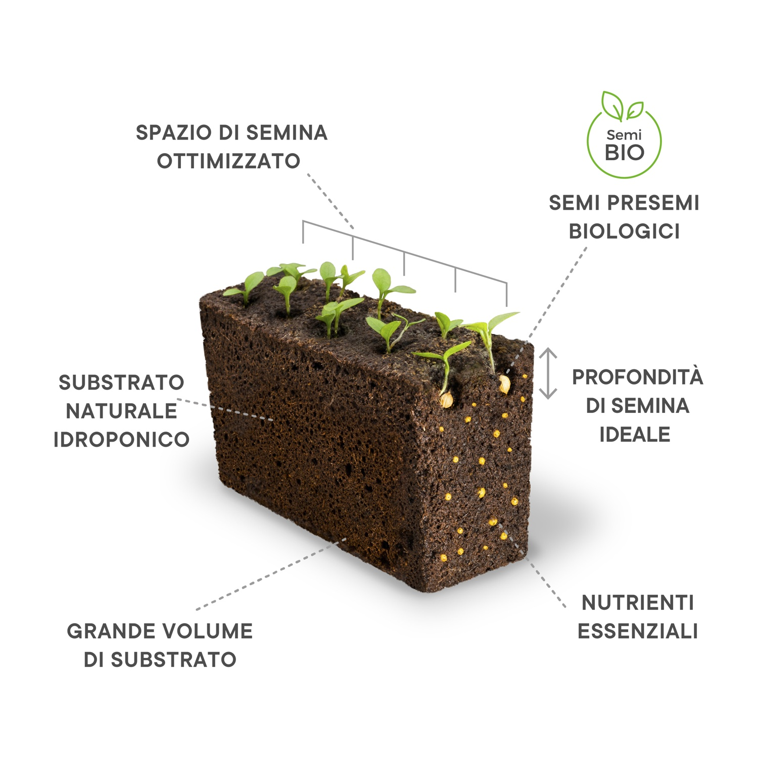 Primo piano di un blocco di terra con piante, che mostra diagrammi etichettati.