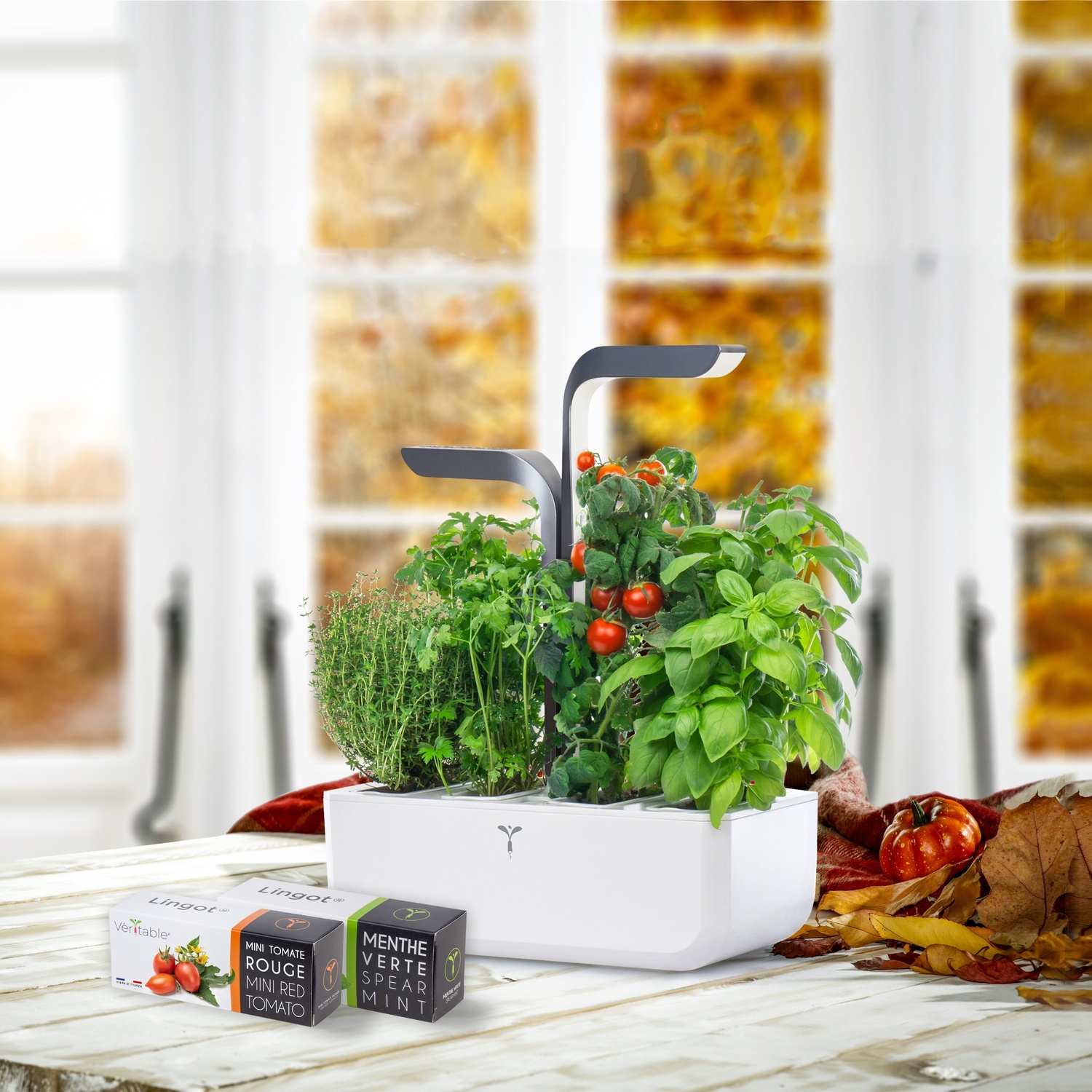 Giardino di erbe aromatiche da interno con basilico, pomodori e menta, con due piccole scatole di semi.