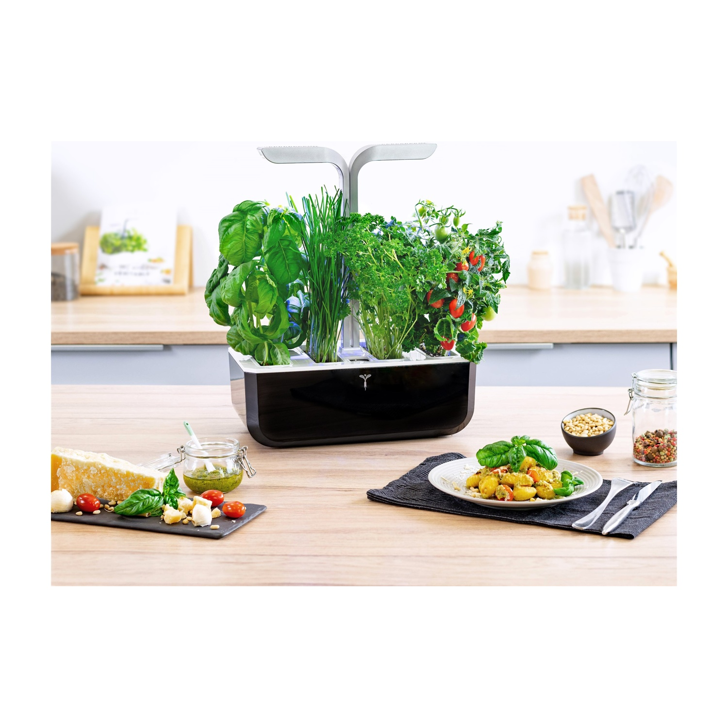 Un piano di lavoro della cucina con un giardino idroponico e generi alimentari.