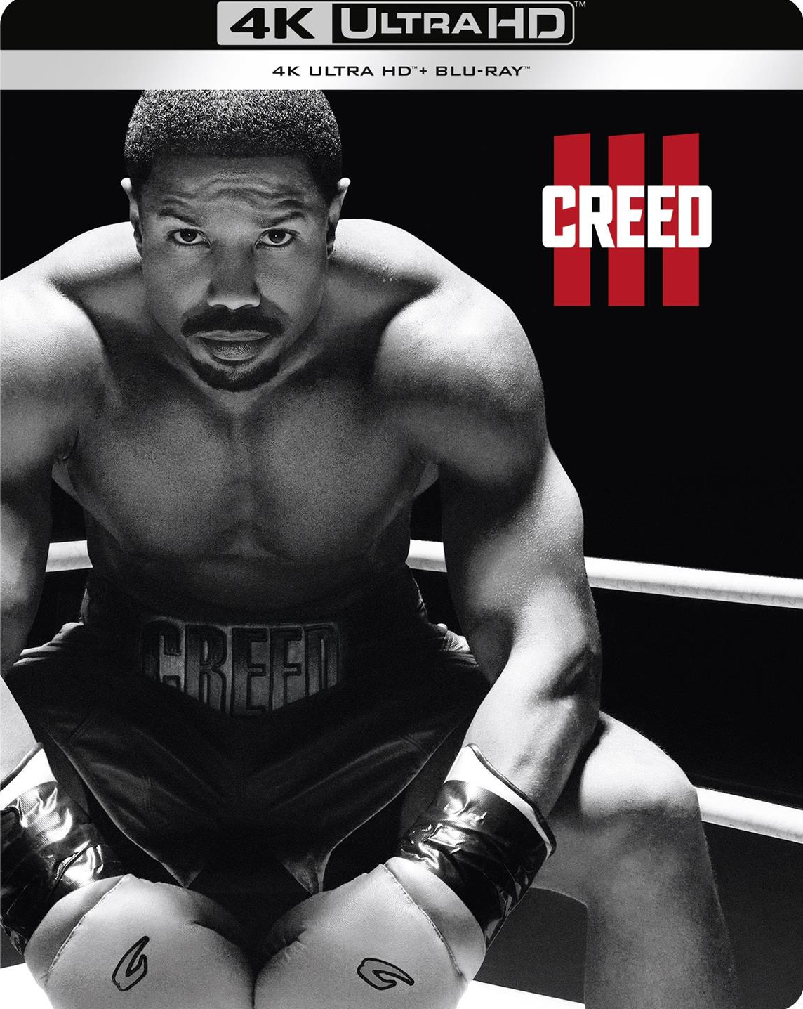 Warner Bros Entertainment Nede Creed 3