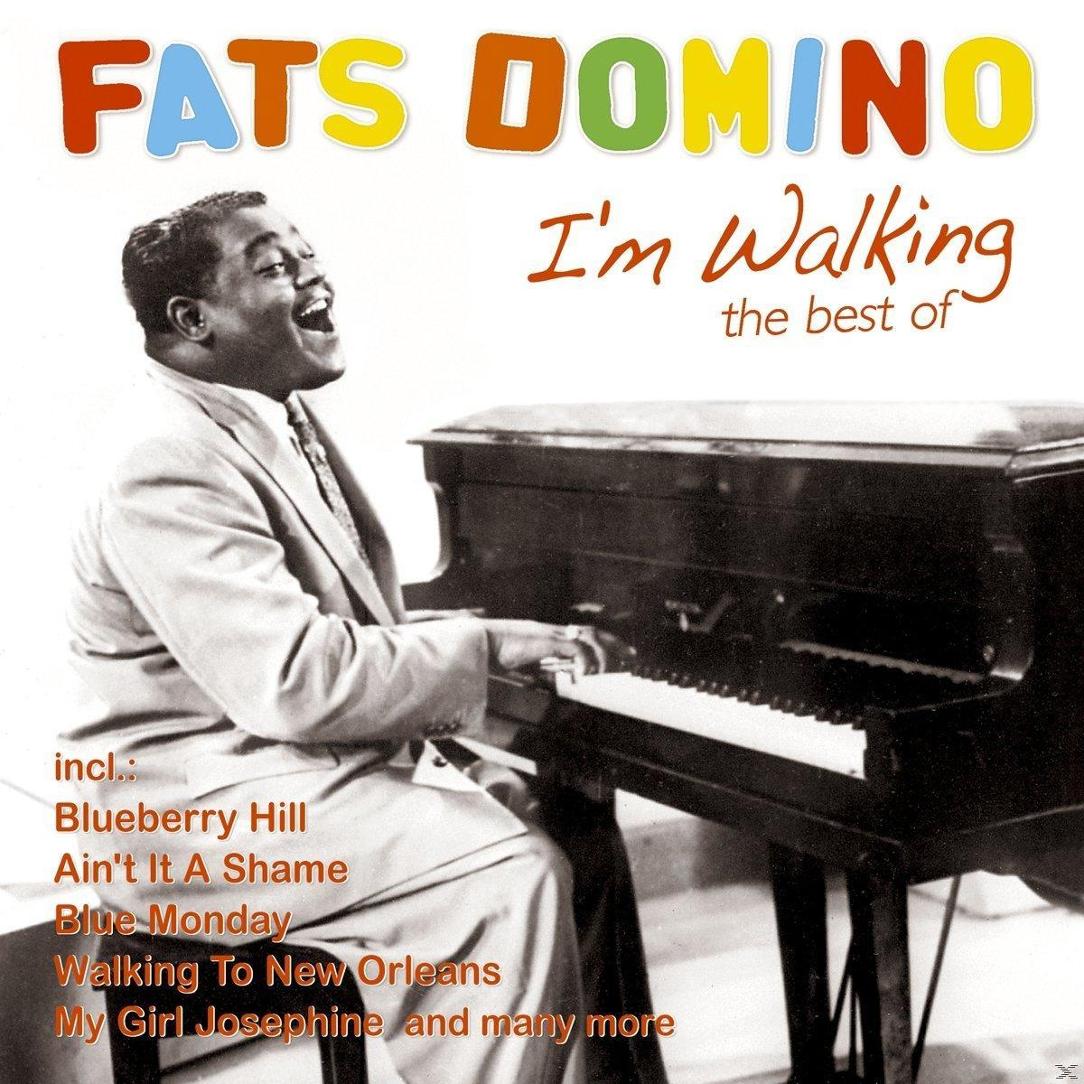 Fats Domino Albumcover. Schwarzer Mann spielt Klavier. Albumtitel und Titelliste unten links.