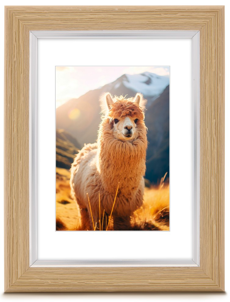 HAMA Lima műanyag képkeret, tölgy 15x20