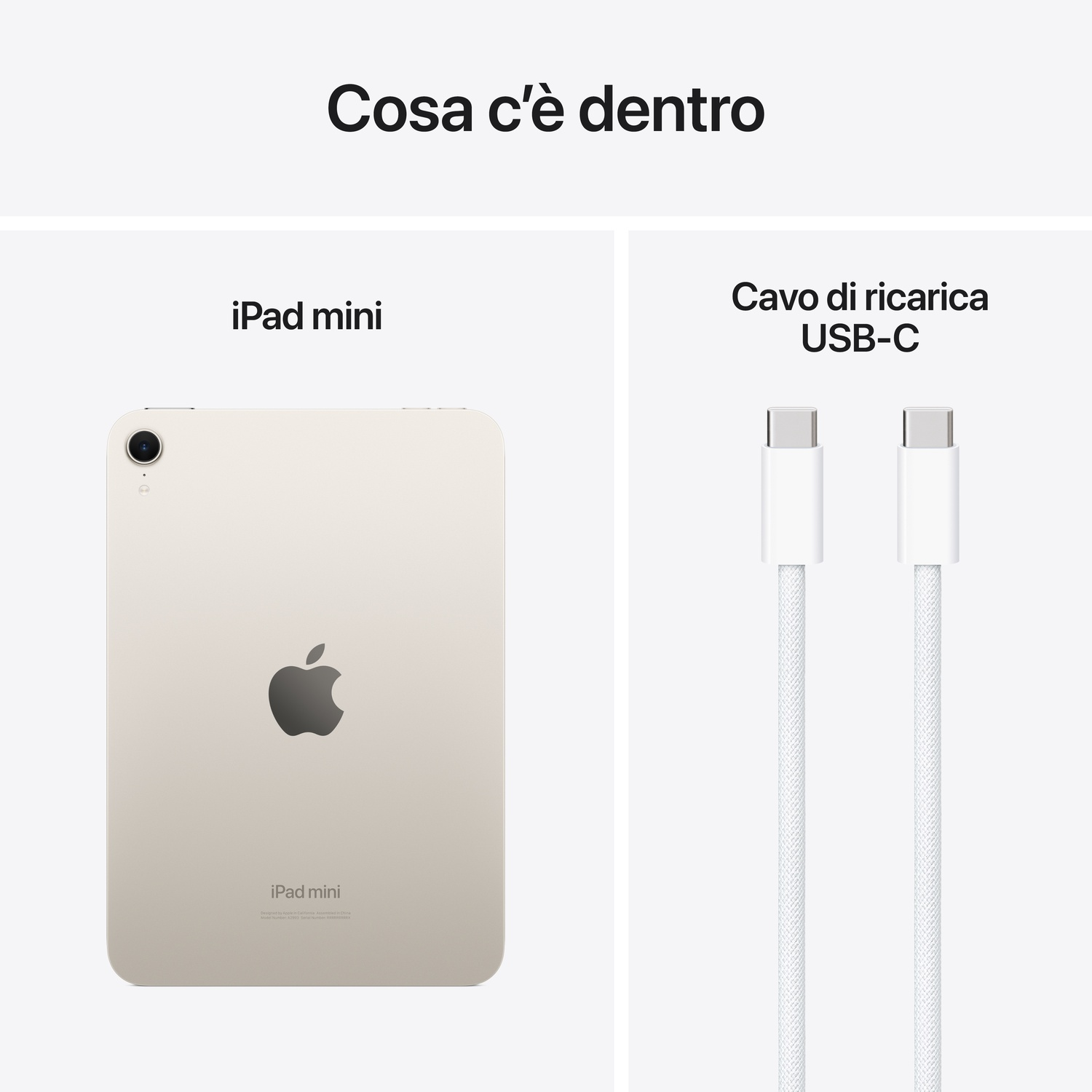 Un iPad Mini e un cavo di ricarica USB-C bianco su sfondo bianco.