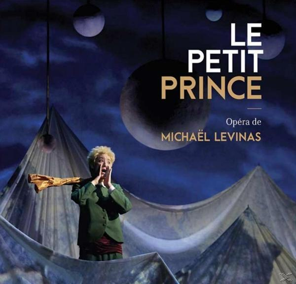 Arie Van Beek - Der kleine Prinz  - (CD)