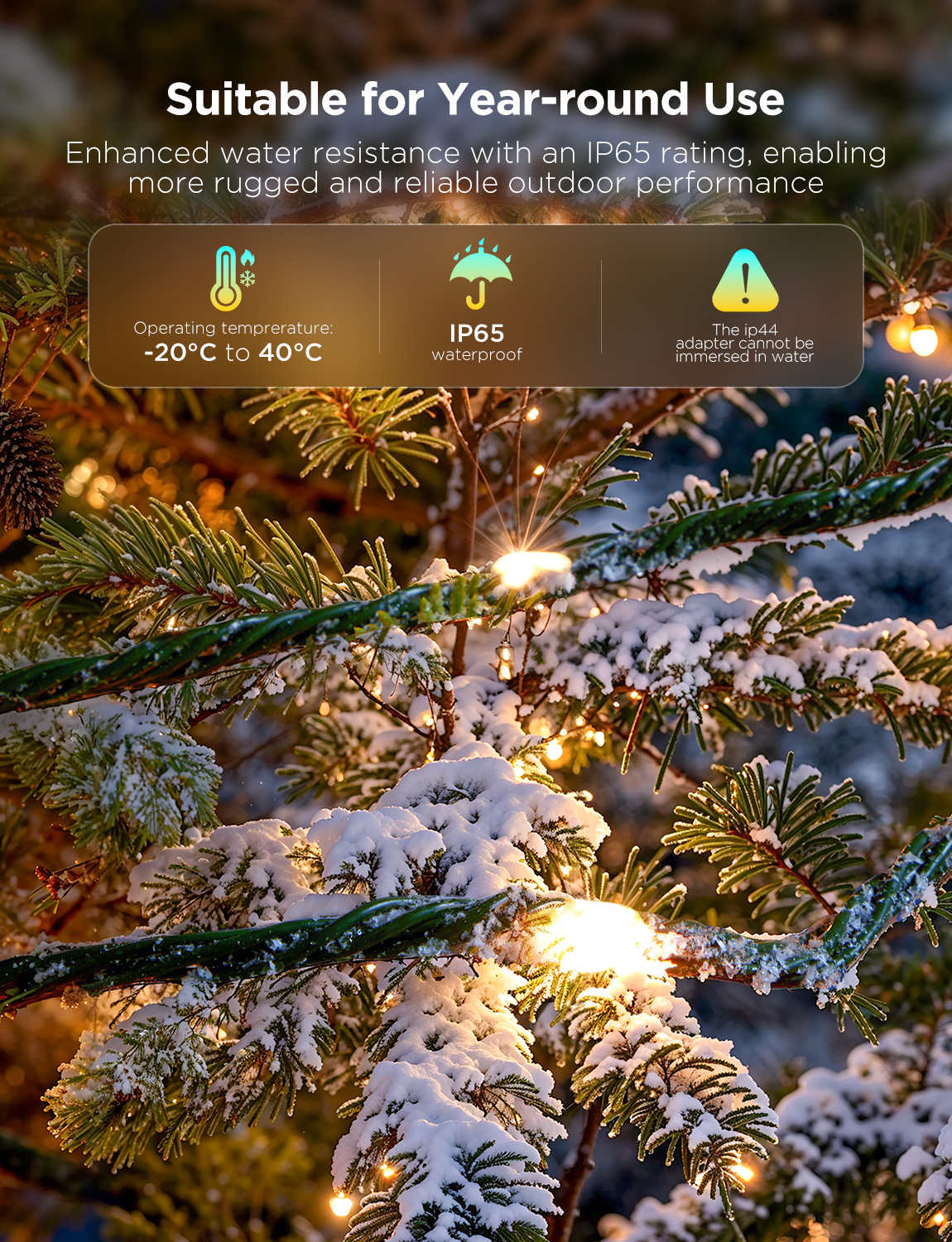 Weihnachtsbeleuchtung an einem Baum mit Schnee. Das Bild enthält Text über die Lichter.