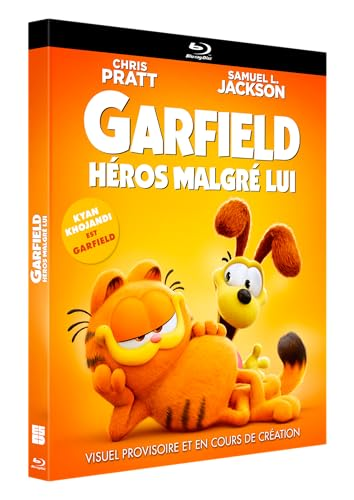 A DVD case with the cover of the movie Garfield. The case is orange.