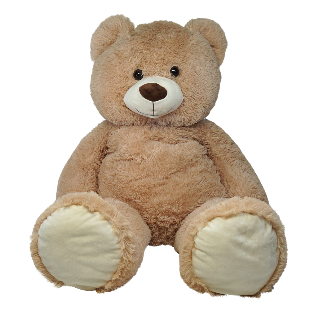 A large brown teddy bear sitting upright. It has a brown nose, and cream colored paws.