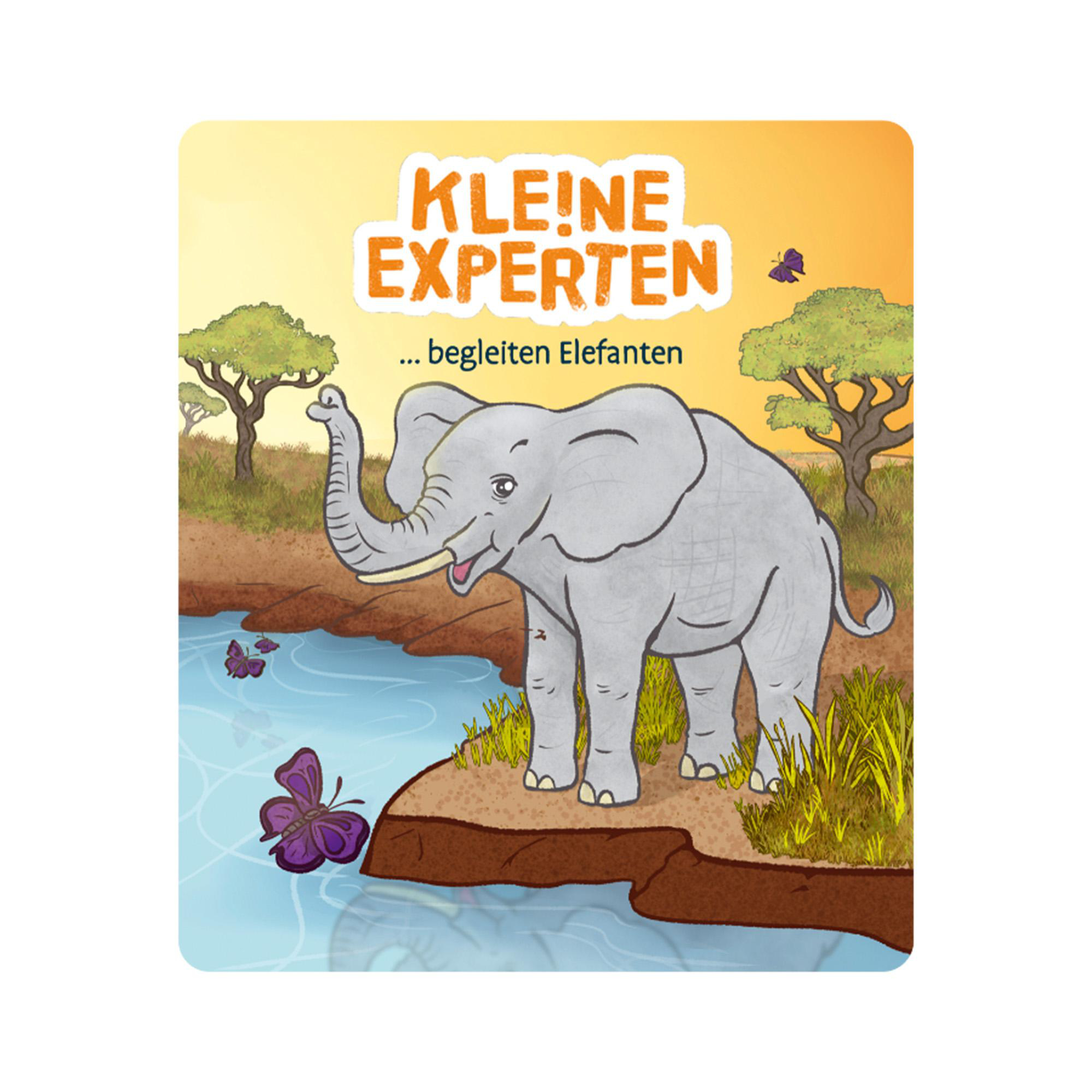 Illustration eines Elefanten mit Text: Kleine Experten... begleiten Elefanten.