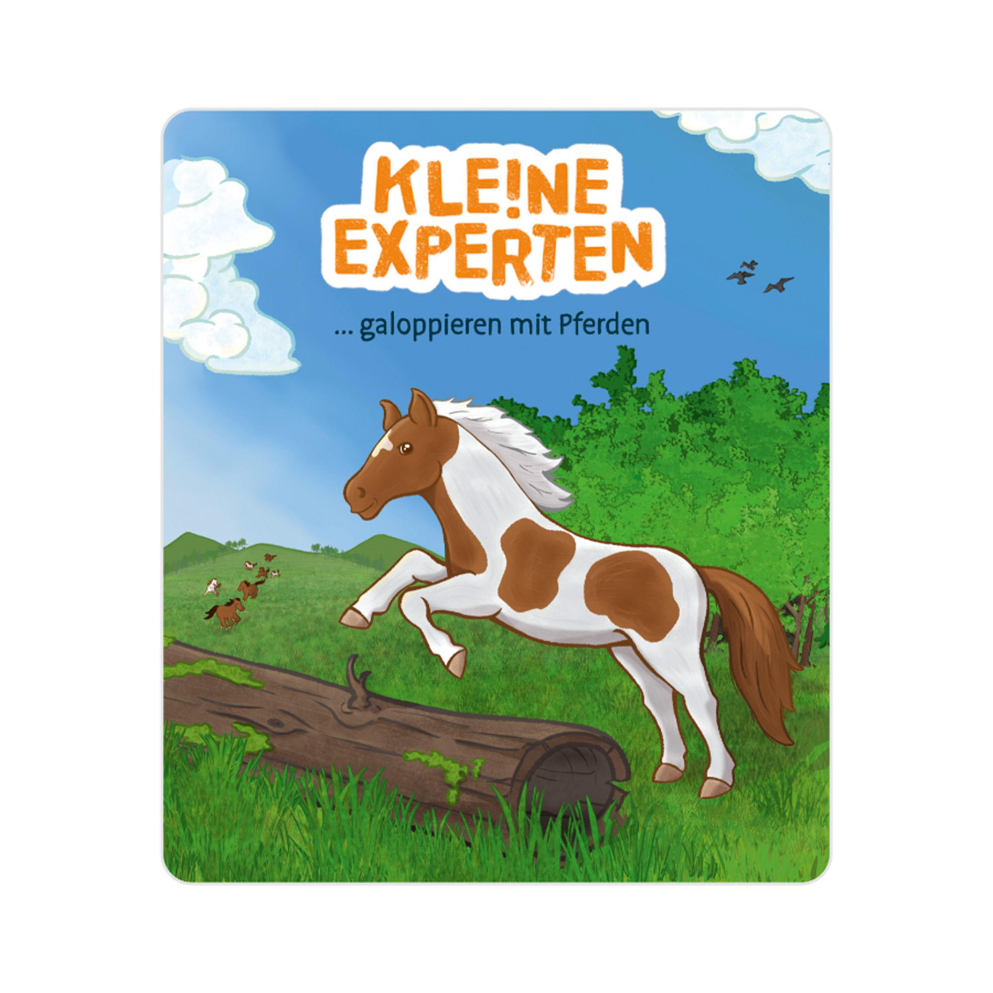 Ein Kinderbuchcover mit einem Pferd, das an einem sonnigen Tag über einen Baumstamm springt.
