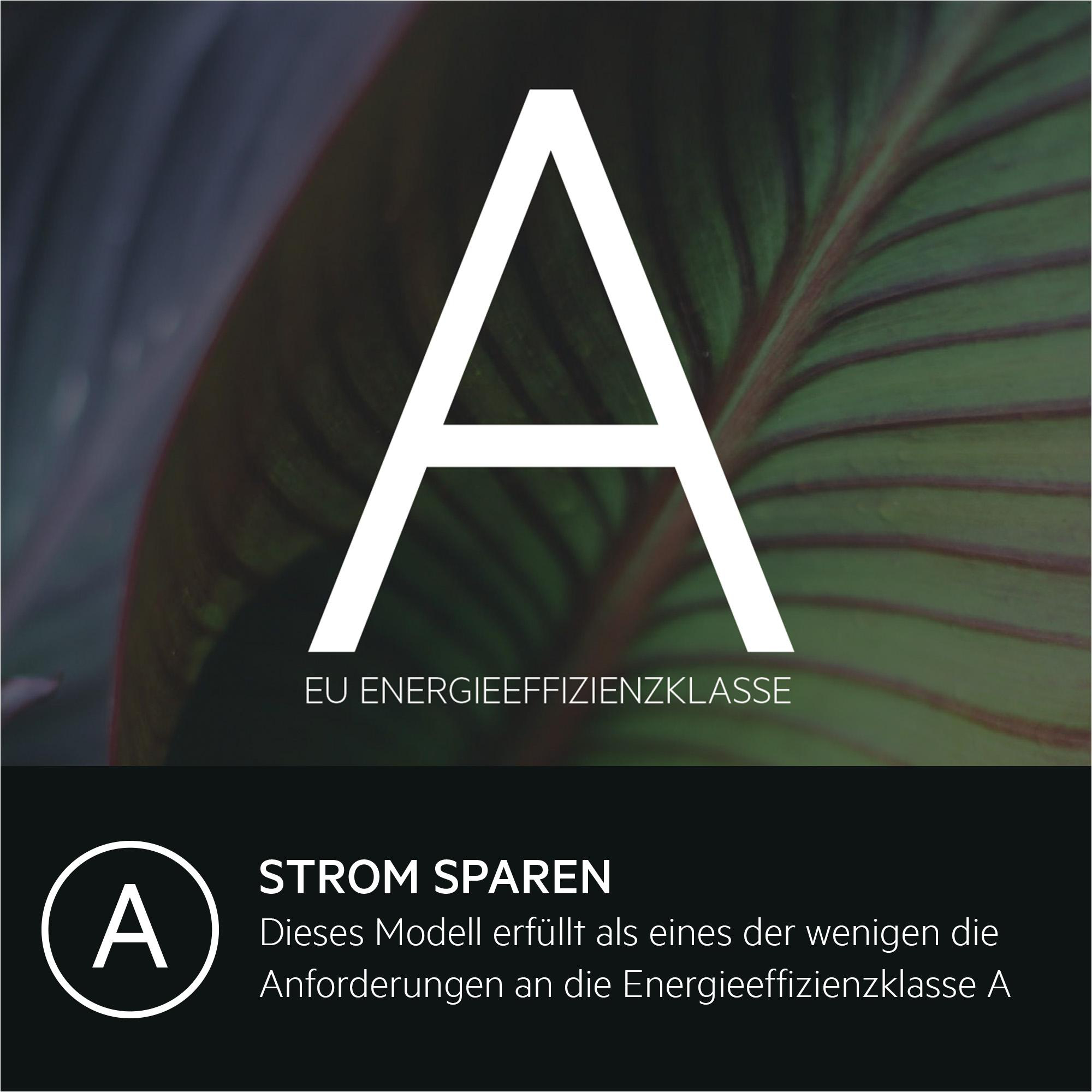 Großes weißes 'A' auf grünem Blattgrund, Text 'EU ENERGIEEFFIZIENZKLASSE'. Unten: 'A' und Text zur Energieeffizienz.