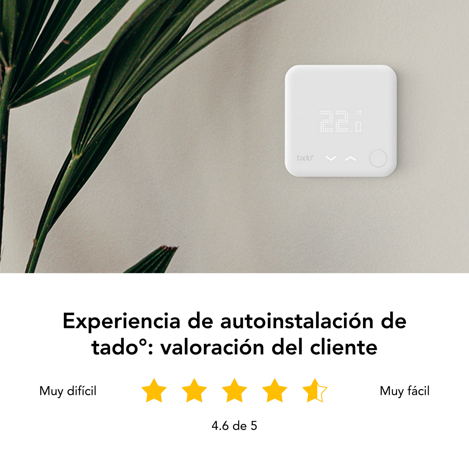 Un termostato blanco con pantalla digital está montado en una pared con hojas verdes.