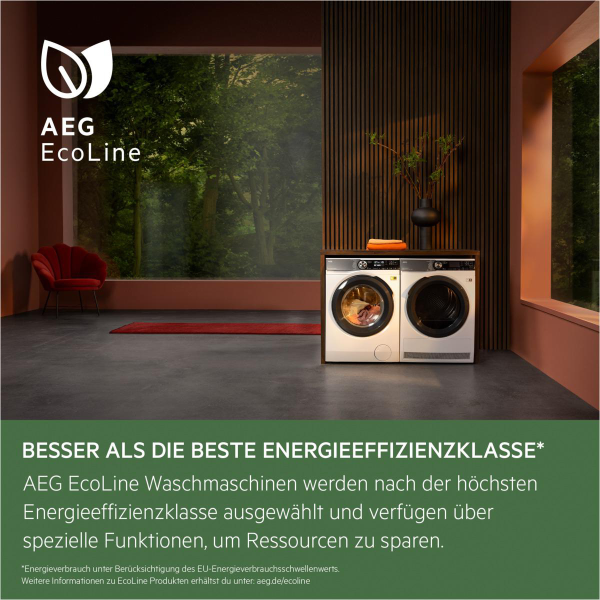 AEG EcoLine Waschmaschine und Trockner in einem Raum. Grün und rot.