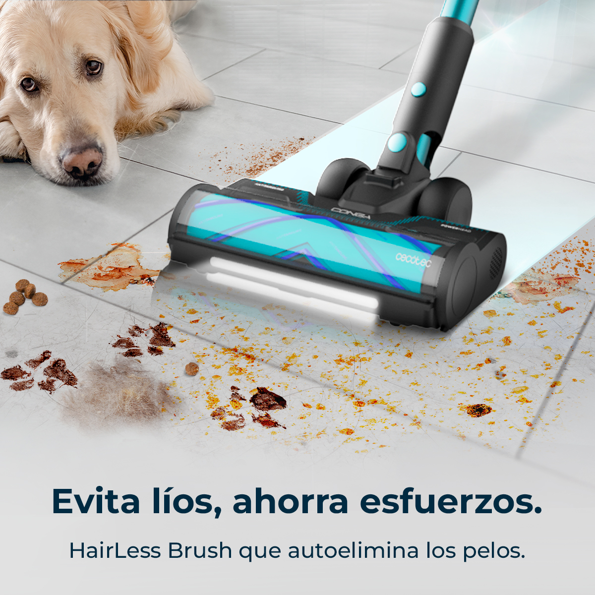 Aspiradora limpiando el suelo, perro en el fondo. Texto: Evita líos, ahorra esfuerzo.