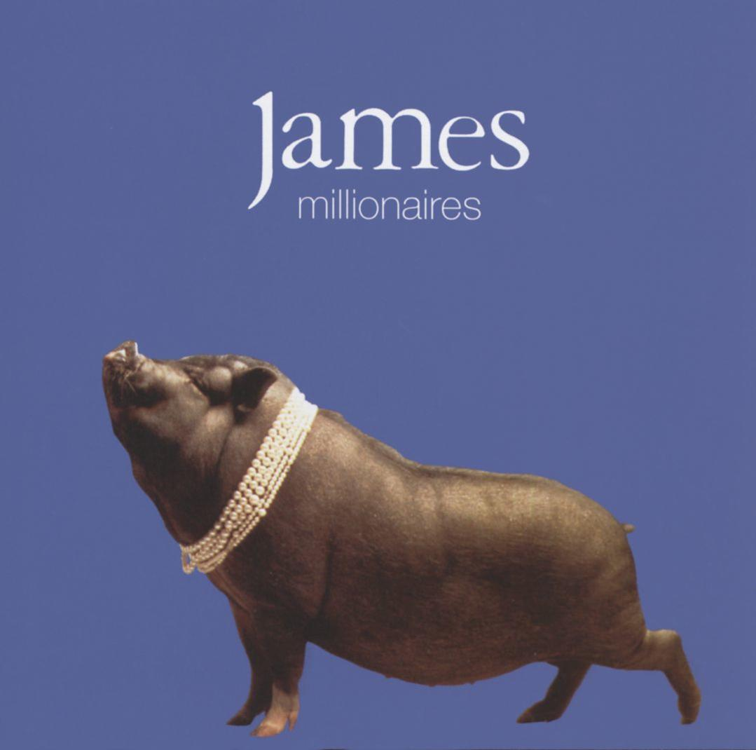 Albumcover mit einem Schwein mit Perlen vor blauem Hintergrund. Der Titel lautet 'millionaires'.