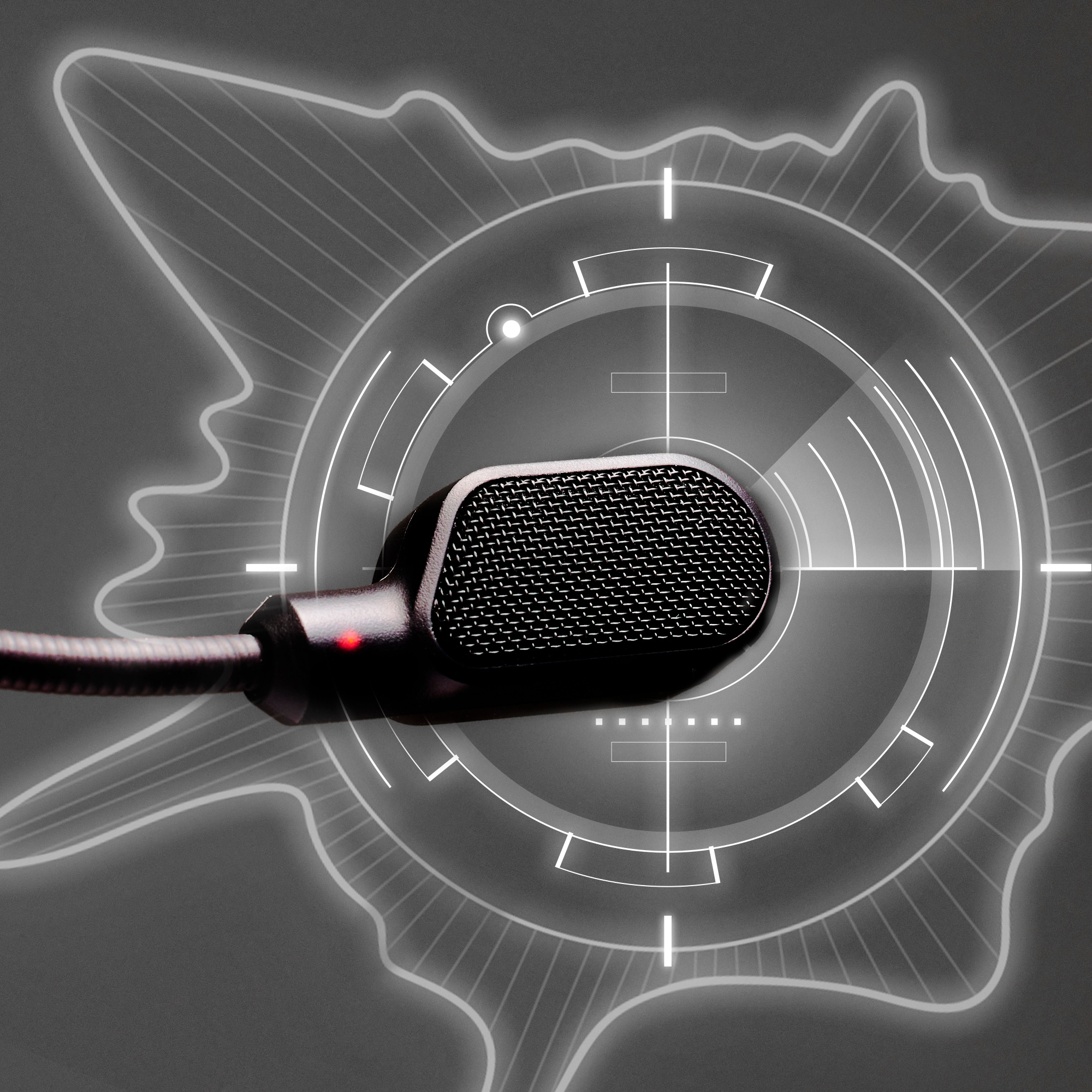 Mikrofon mit Pop-Filter. Im Hintergrund eine radarartige Grafik.