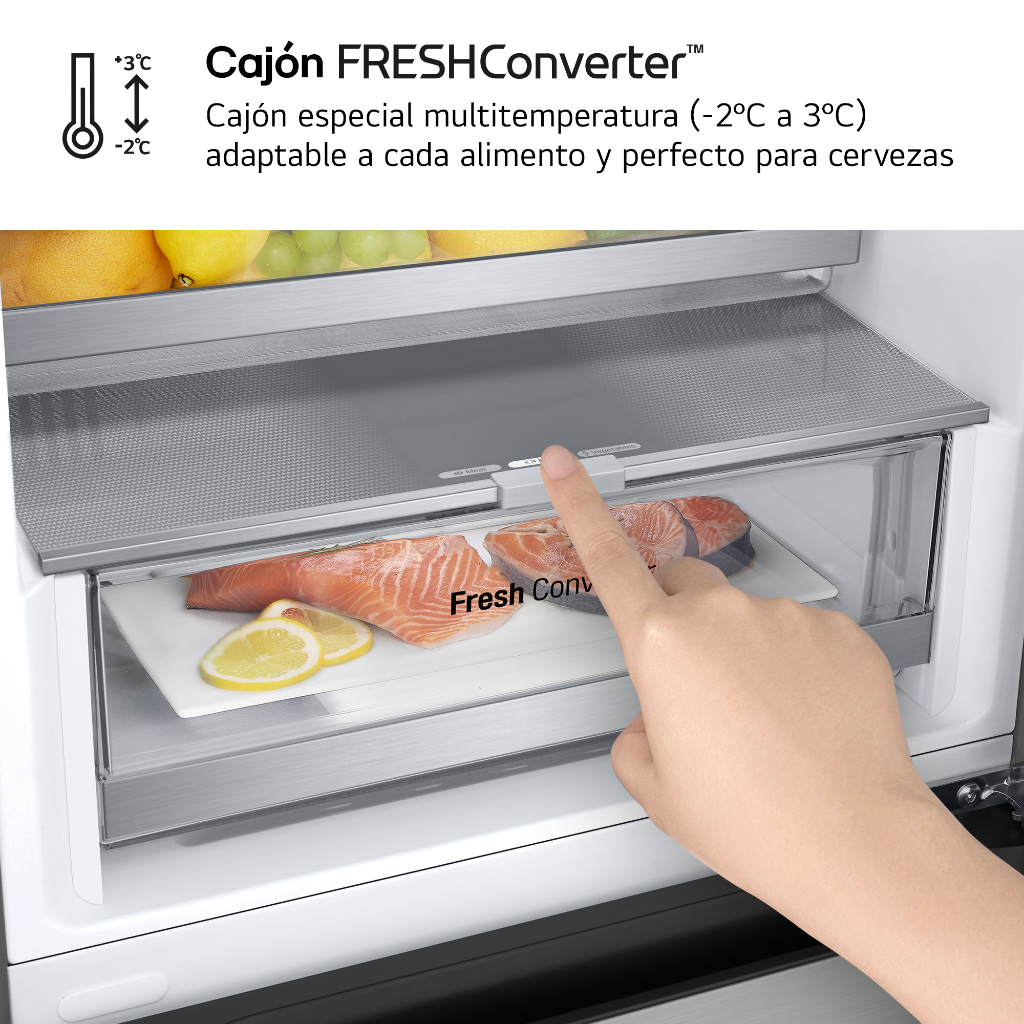 Un cajón de refrigerador con salmón y limones. Texto en español, 'FRESHConverter', visible.