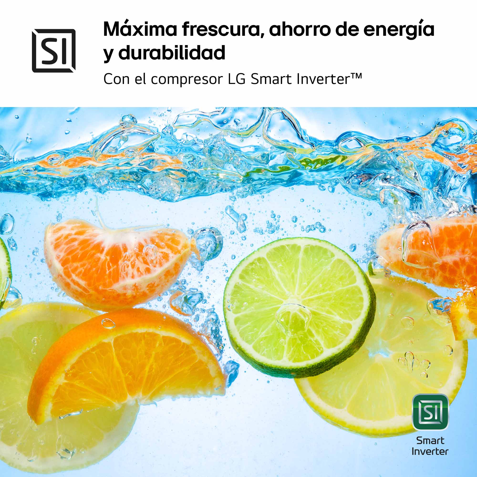 Frutas cítricas en rodajas en agua con texto.