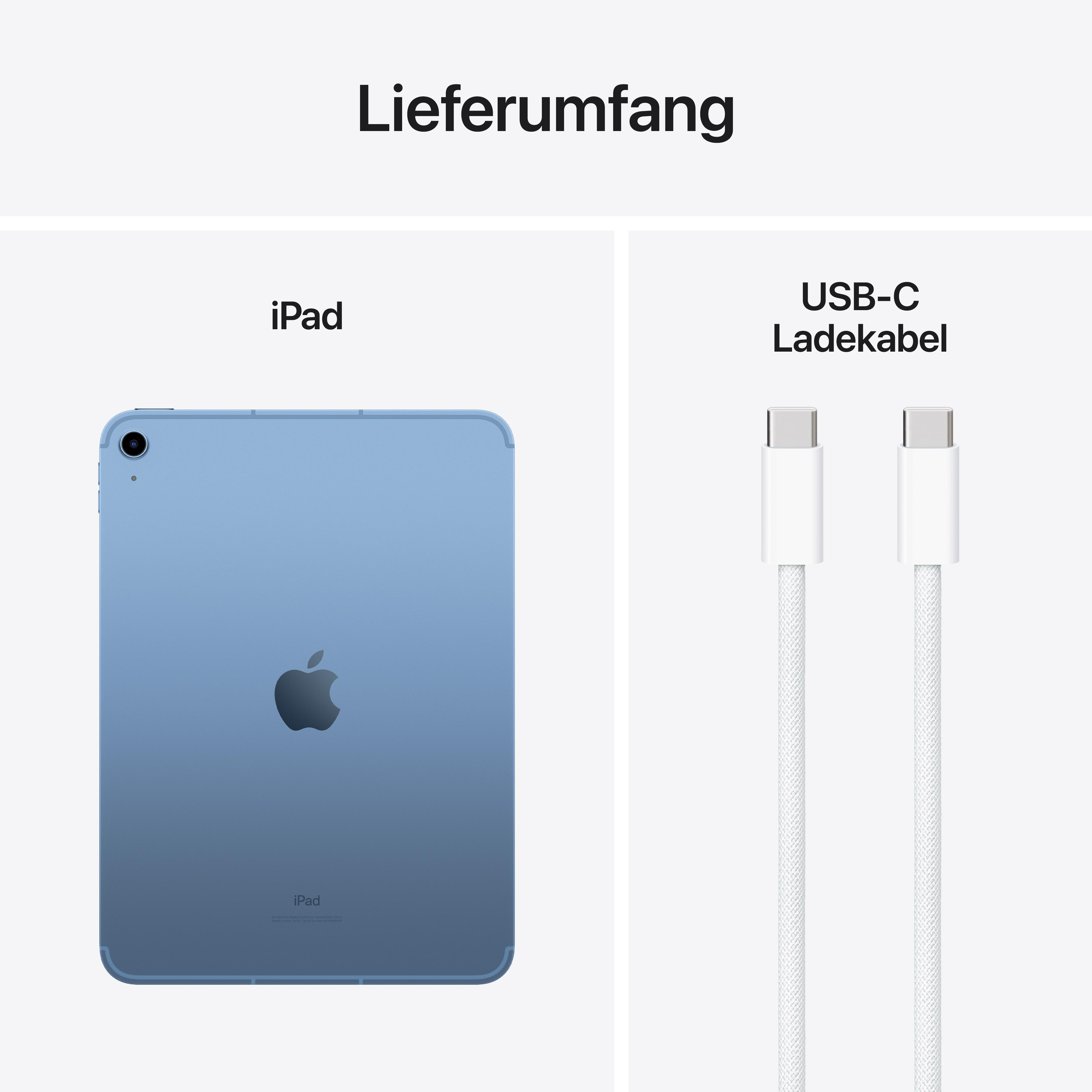 iPad und USB-C-Kabel. iPad ist blau, Kabel ist weiß.