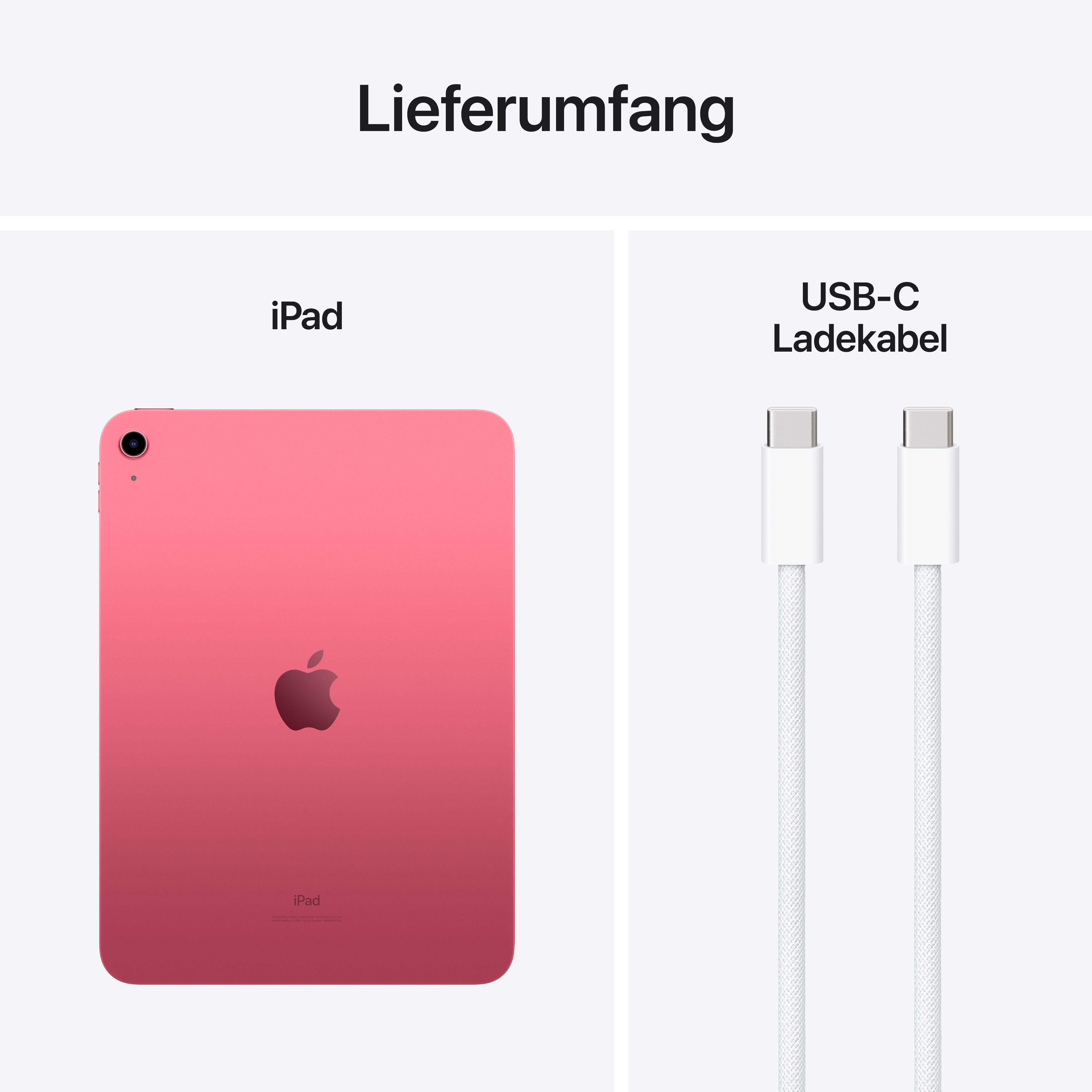 iPad und USB-C-Kabel. Das iPad ist rot, das Kabel ist weiß.