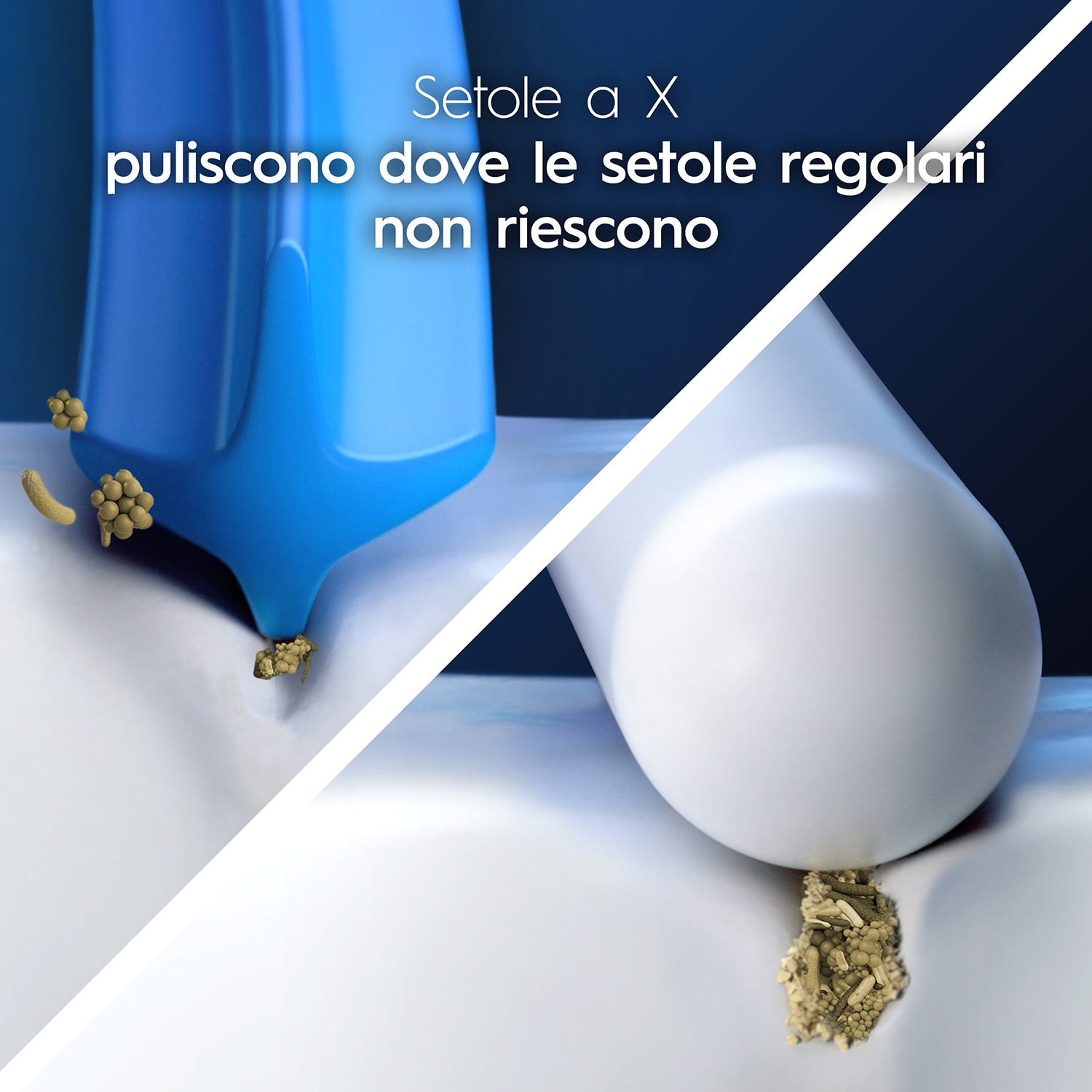 Testina dello spazzolino che pulisce i denti. Primo piano che mostra le setole. Sfondo bianco e blu.
