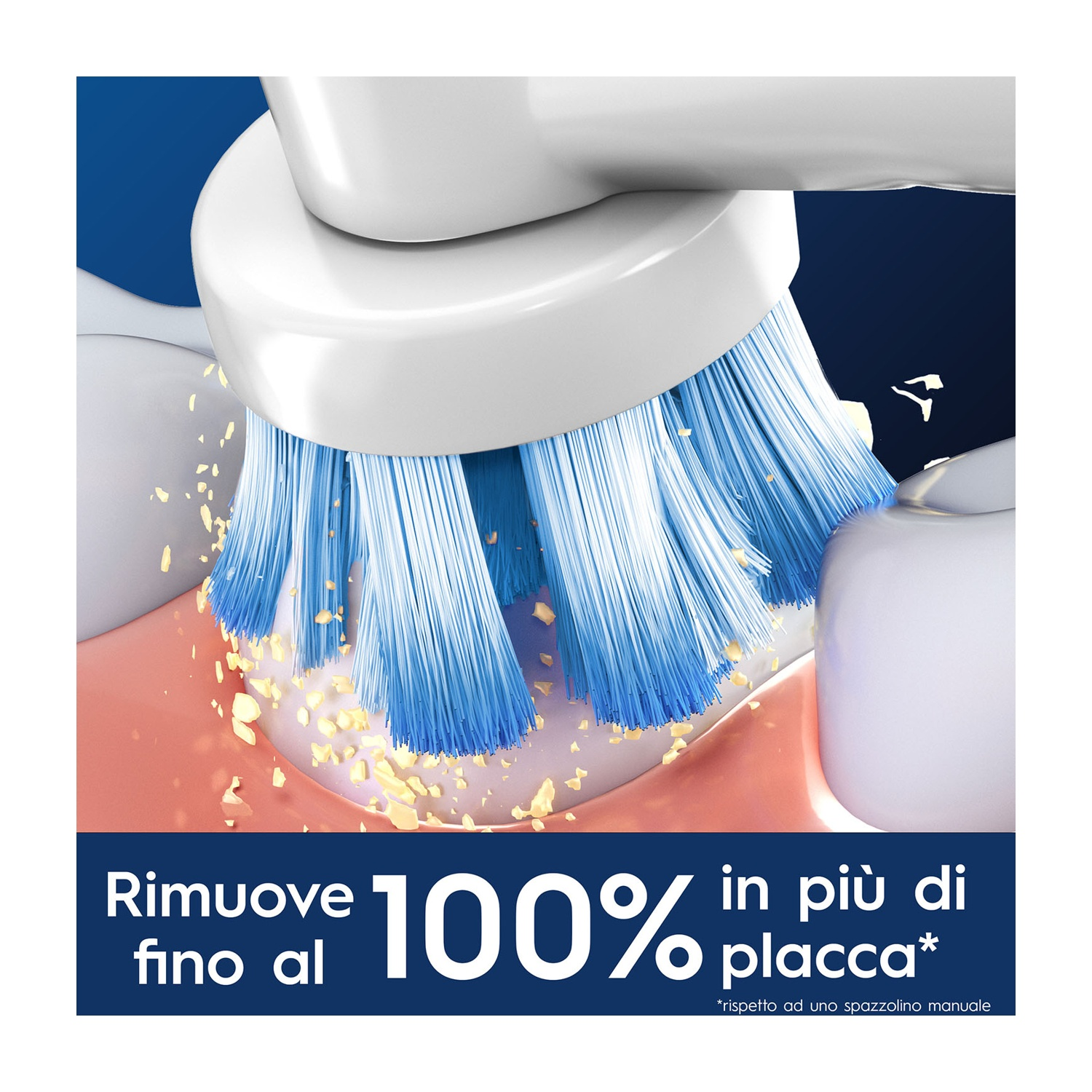 Setole dello spazzolino che puliscono i denti; rimozione della placca.