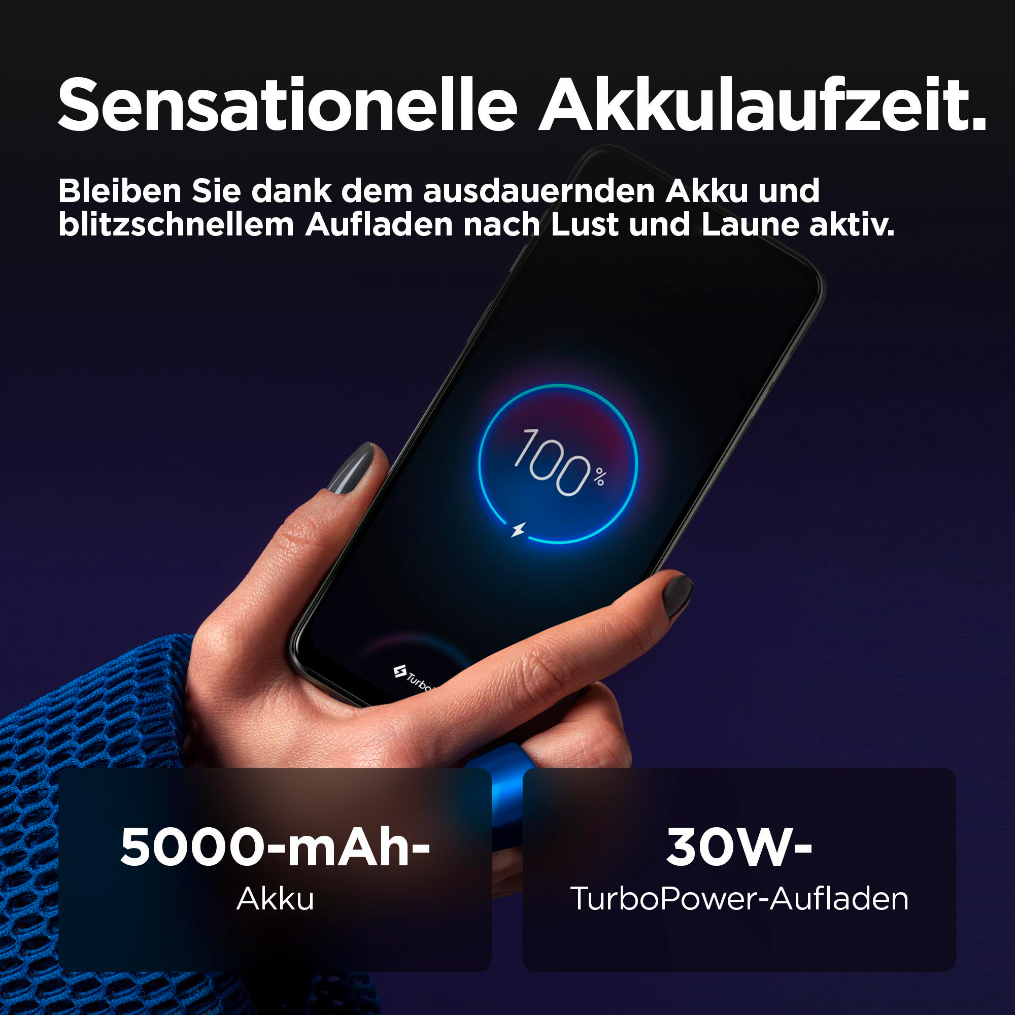 Smartphone-Bildschirm mit 100 % Akku, darunter Textfelder.