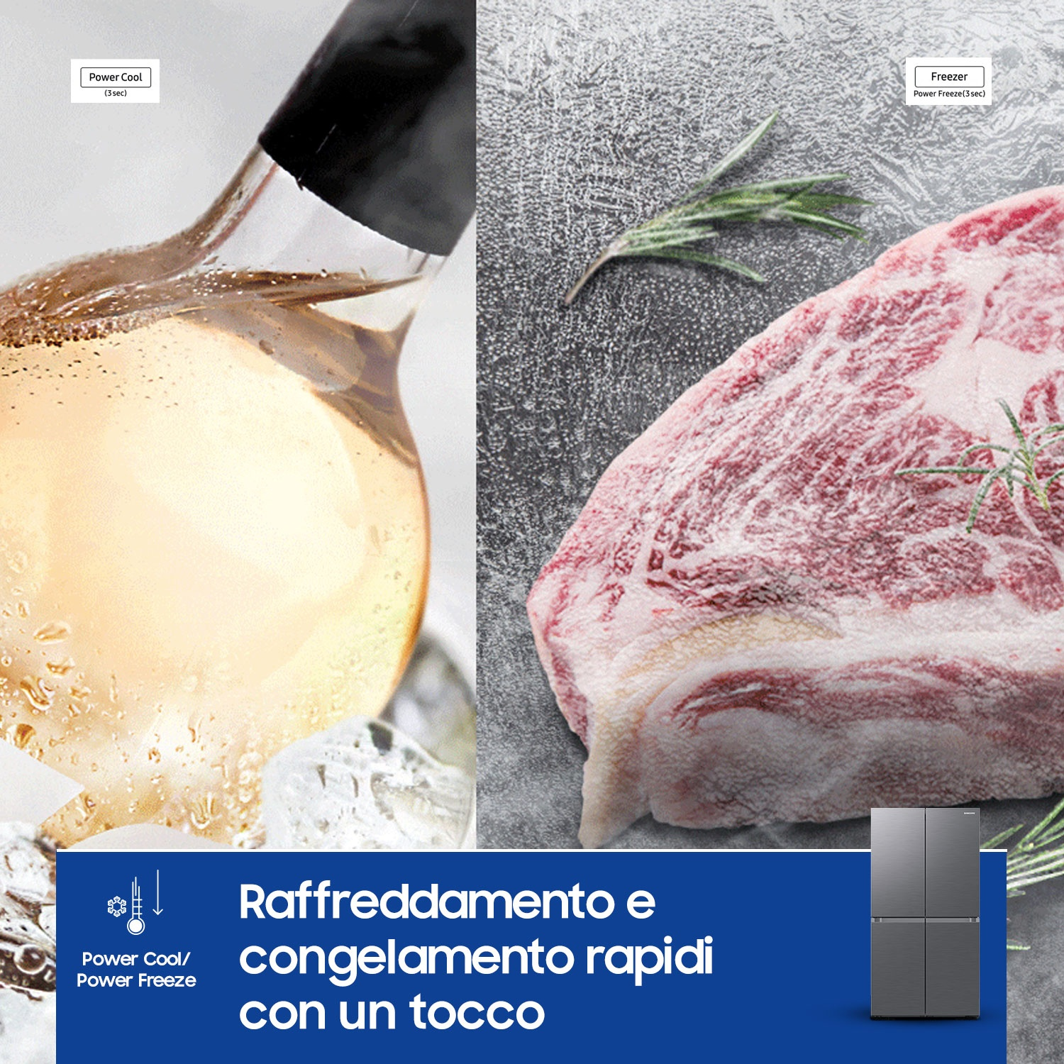 Bottiglia di vino con ghiaccio e una bistecca. Frigorifero sullo sfondo.