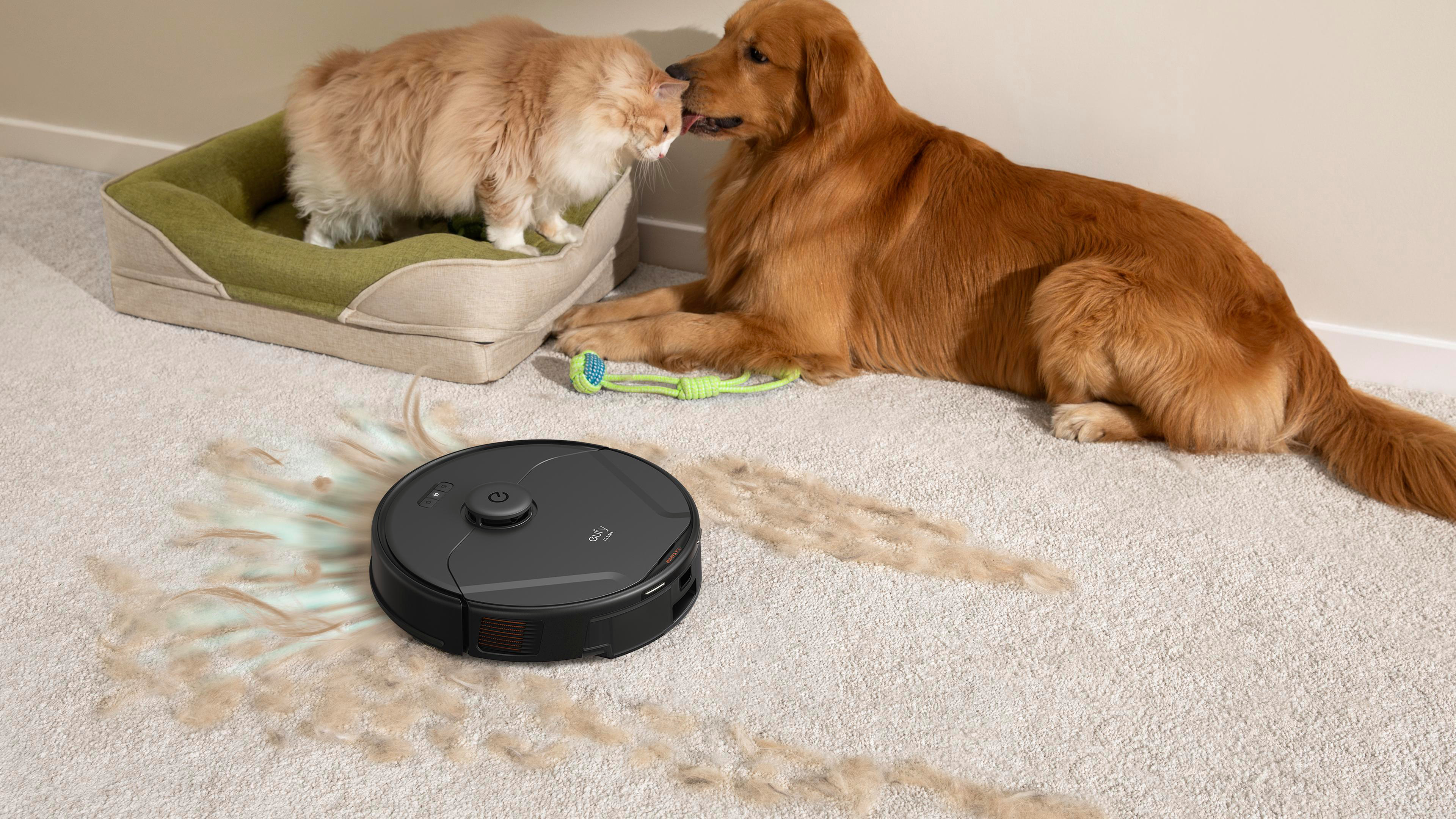 Katze im Bett, Hund leckt sie. Roboterstaubsauger reinigt Fell. Teppichboden.