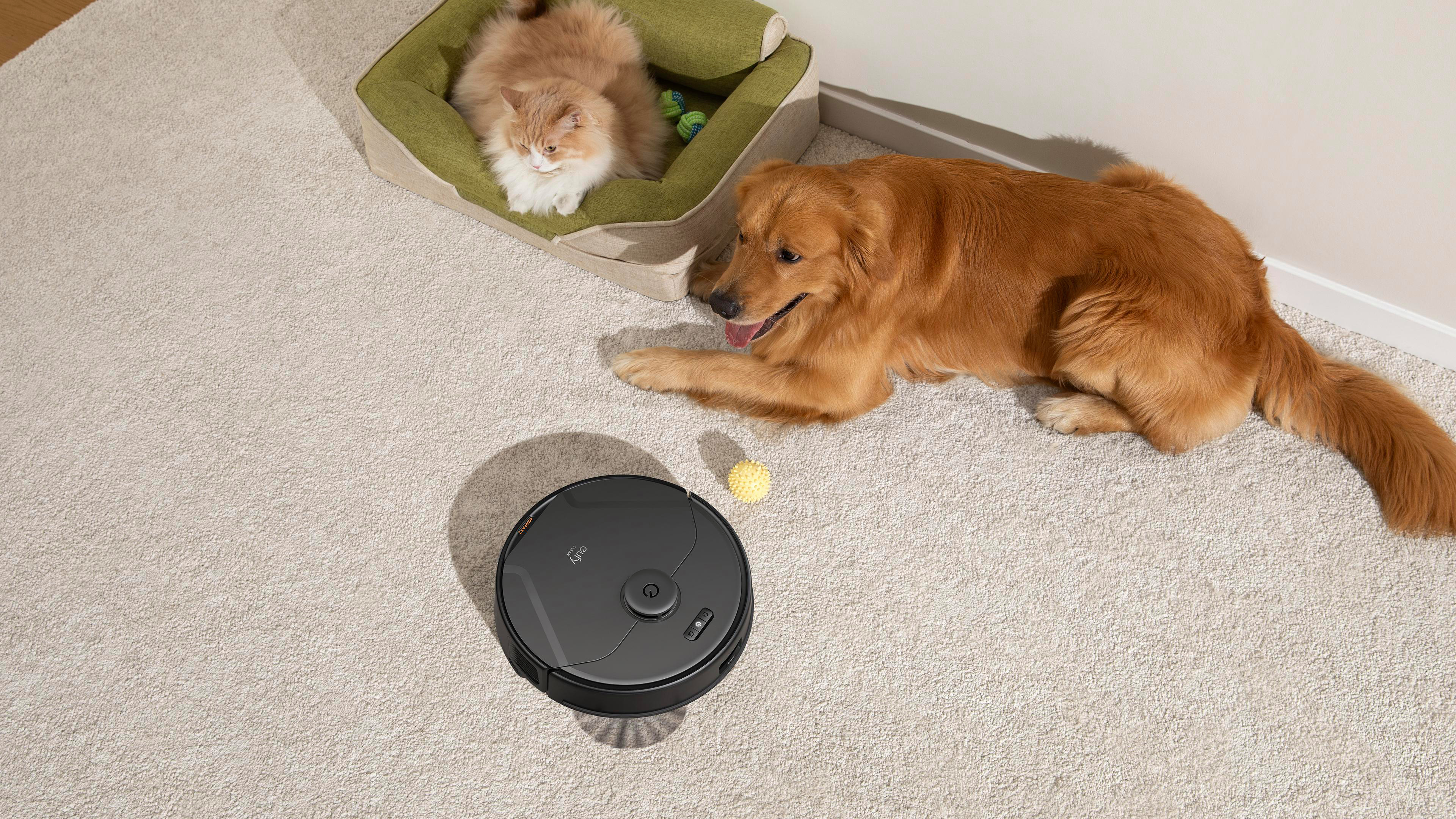 Ein Golden Retriever und eine Katze liegen auf einem Teppich. Ein Roboterstaubsauger und ein Ball sind im Vordergrund. Ein Haustierbett im Hintergrund.
