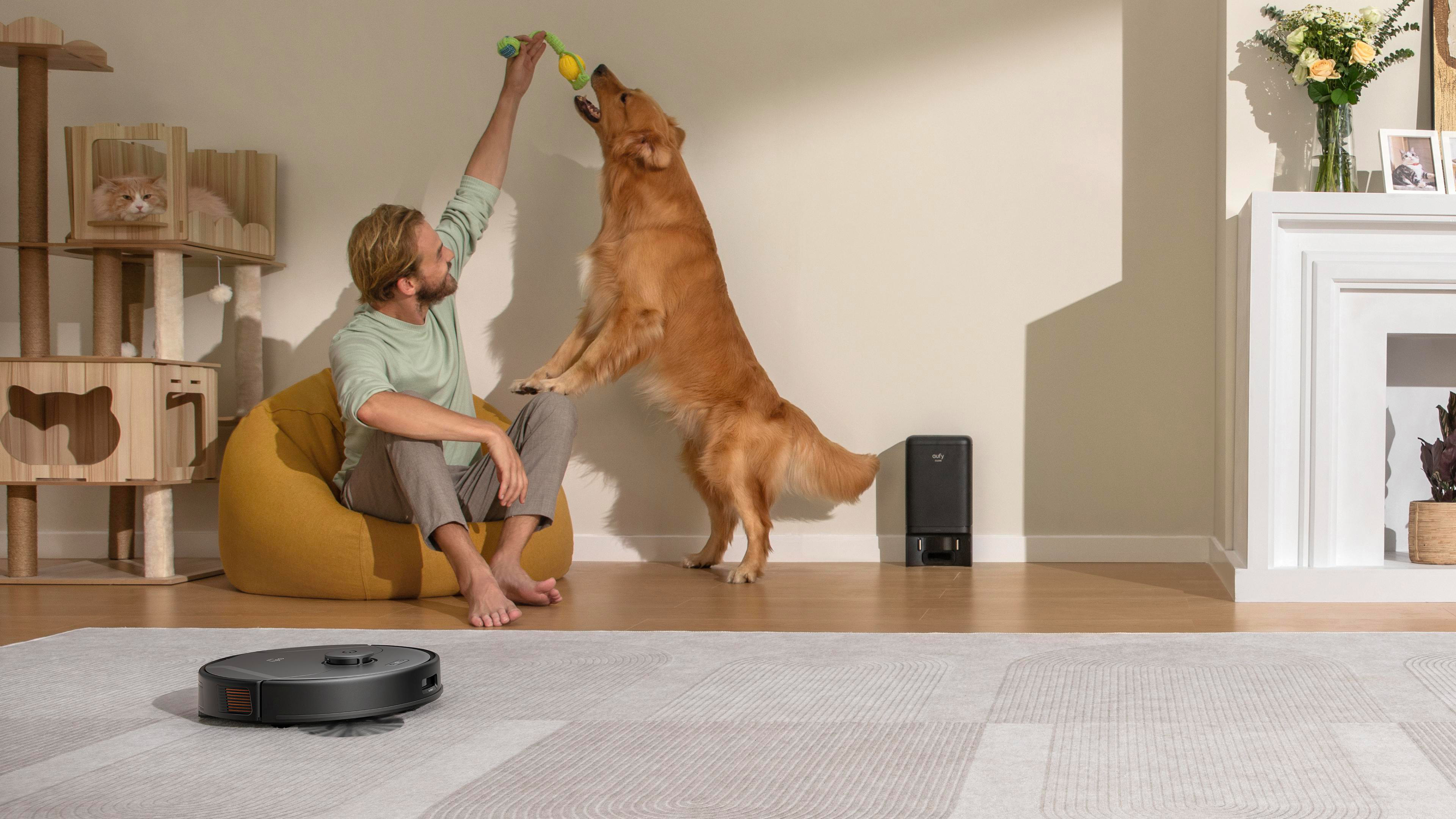 Ein Mann spielt mit einem Golden Retriever. Eine Katze sitzt in einem Katzenbaum. Ein Roboter-Staubsauger liegt auf dem Teppich.