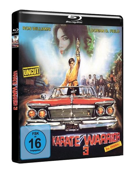 DVD-Cover von 'Karate Warrior 3'. Auto mit Mann, andere Personen im Hintergrund, Text.