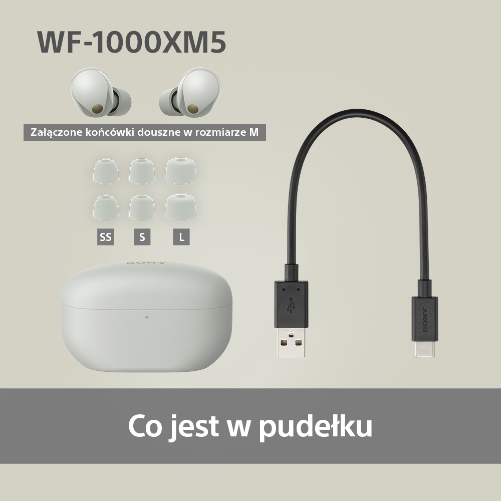 Zestaw słuchawkowy z etui ładującym, dodatkowymi końcówkami i kablem USB.