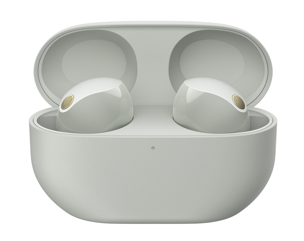 Słuchawki w otwartym etui. Szare etui i słuchawki.