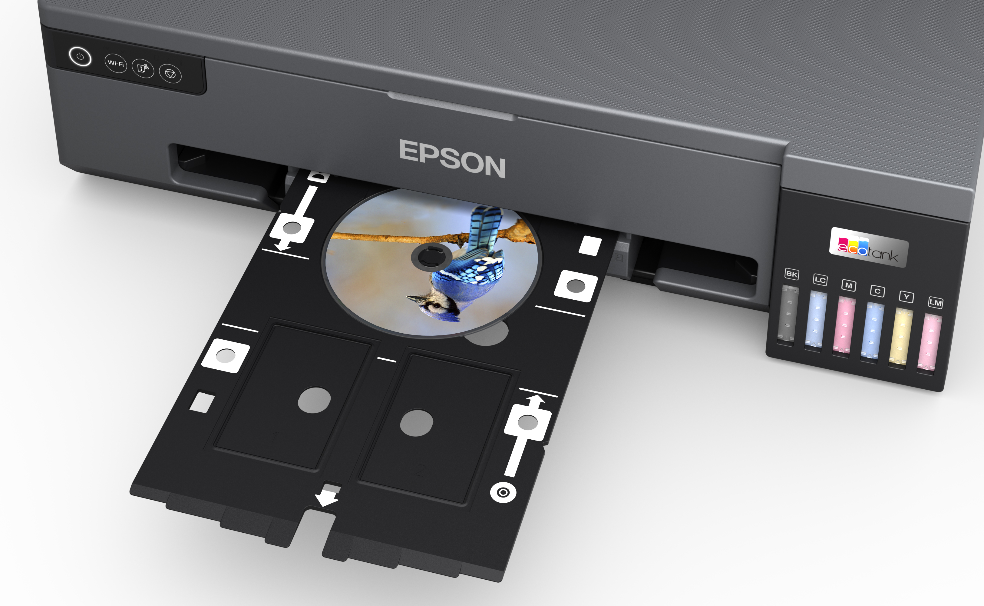 Epson yazıcı, tepside bir CD ile. CD'de bir kuşun görüntüsü var.