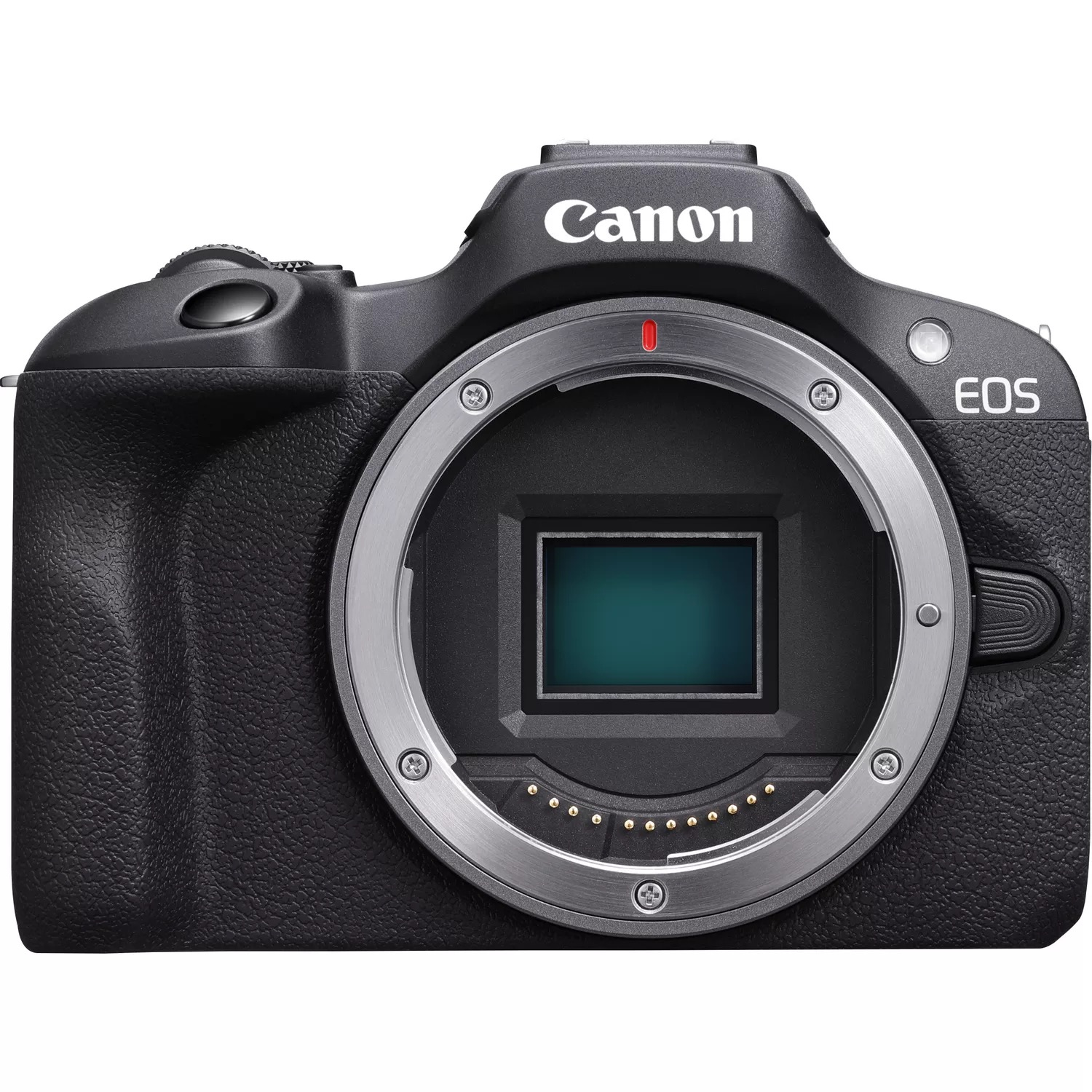 Schwarze Canon EOS-Kamera mit sichtbarem Objektivanschluss. Canon-Logo oben.