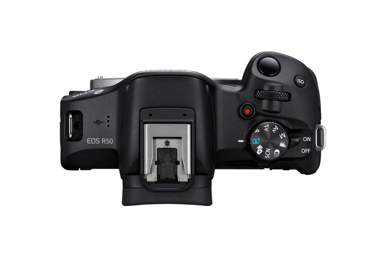 Draufsicht auf eine Canon EOS Kamera, die Bedienelemente und einen Blitz zeigt.