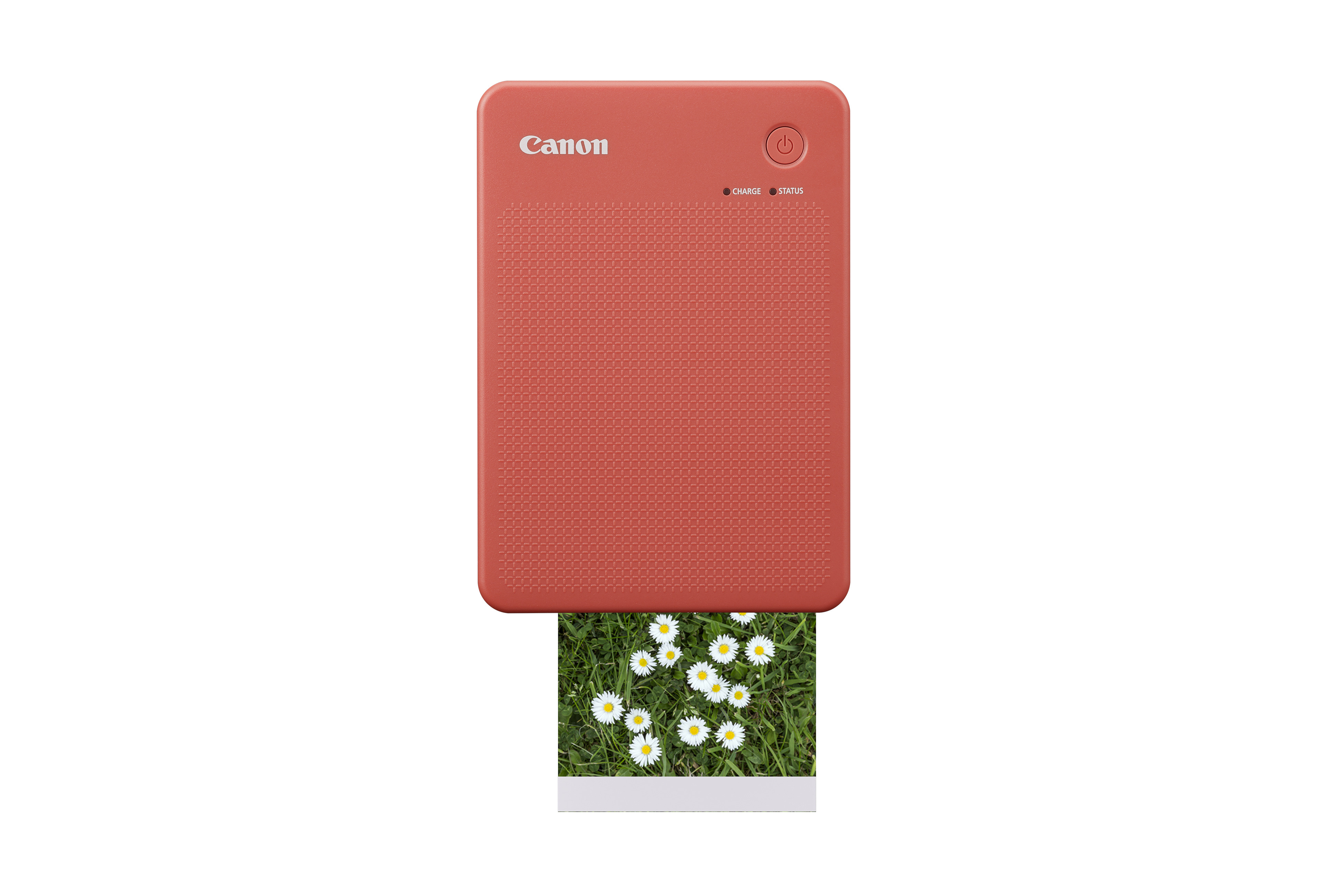 Ein Canon Selphy-Drucker druckt ein Foto von Blumen. Weißer Hintergrund.