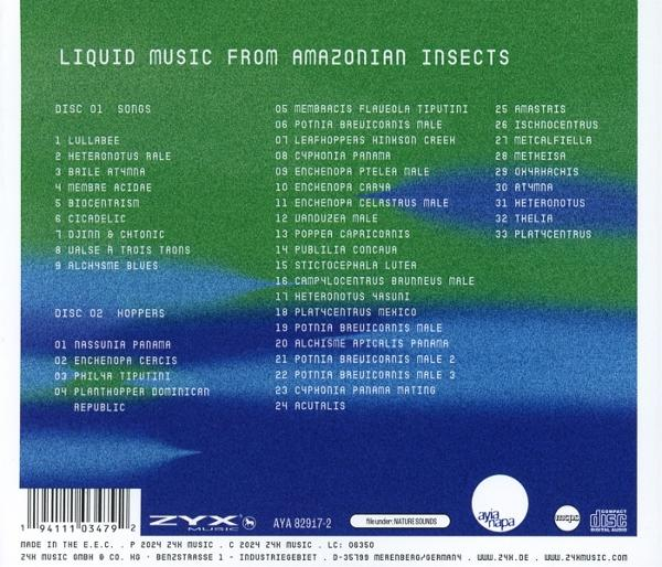 CD-Cover mit Auflistung von Musiktiteln. Der Hintergrund ist ein Farbverlauf aus Grün und Blau.