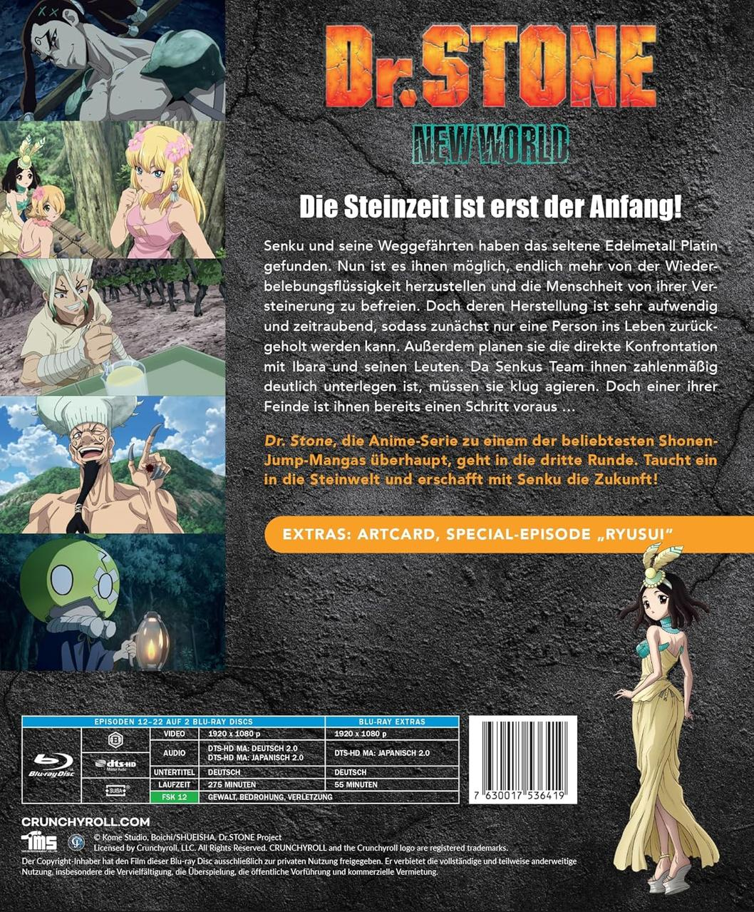 Blu-ray-Disc-Cover mit Anime-Charakteren und japanischem Text, mit einer Zusammenfassung.