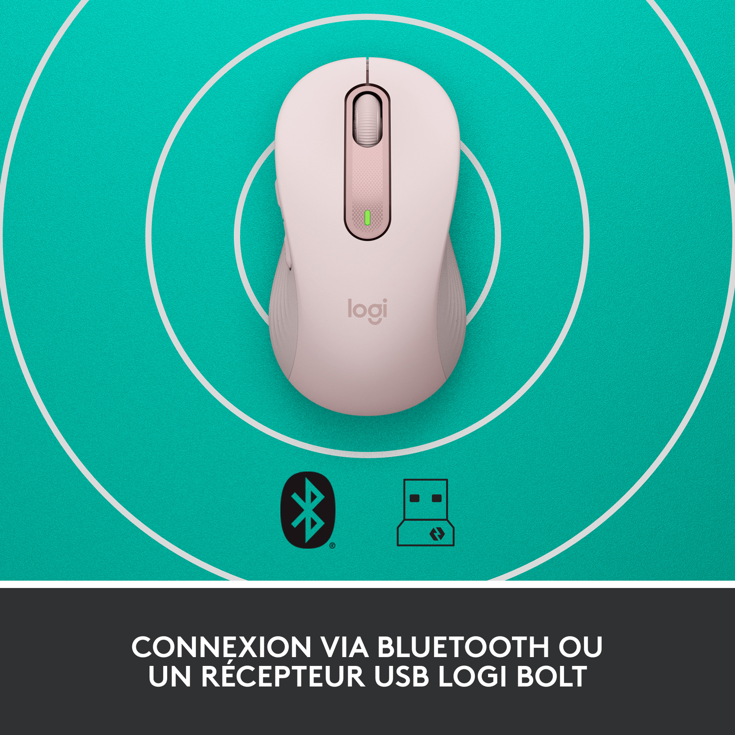 Deux câbles noirs USB-C vers USB-C et USB-C vers Lightning.