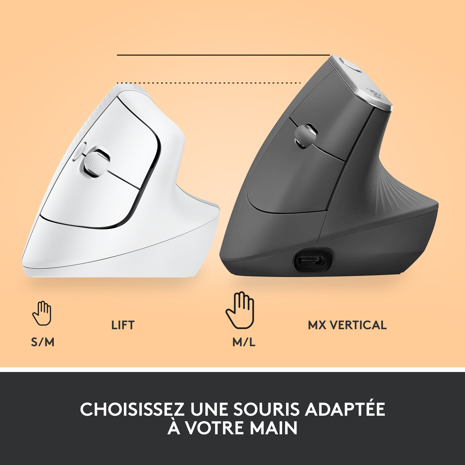 Souris d'ordinateur ergonomiques blanches et grises.