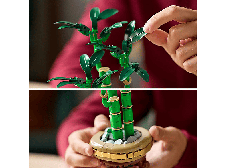 Lego Botanicals 10344 Glücks-Bambus Bausatz — Foto 4 von 5