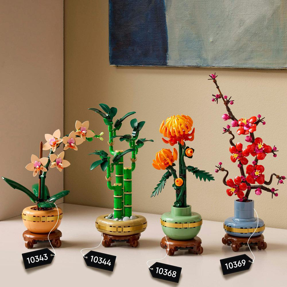 Vier Lego-Botanische Modelle: Orchidee, Bambus, Chrysantheme und rote Blüten. Jedes hat einen Sockel und ein Etikett.