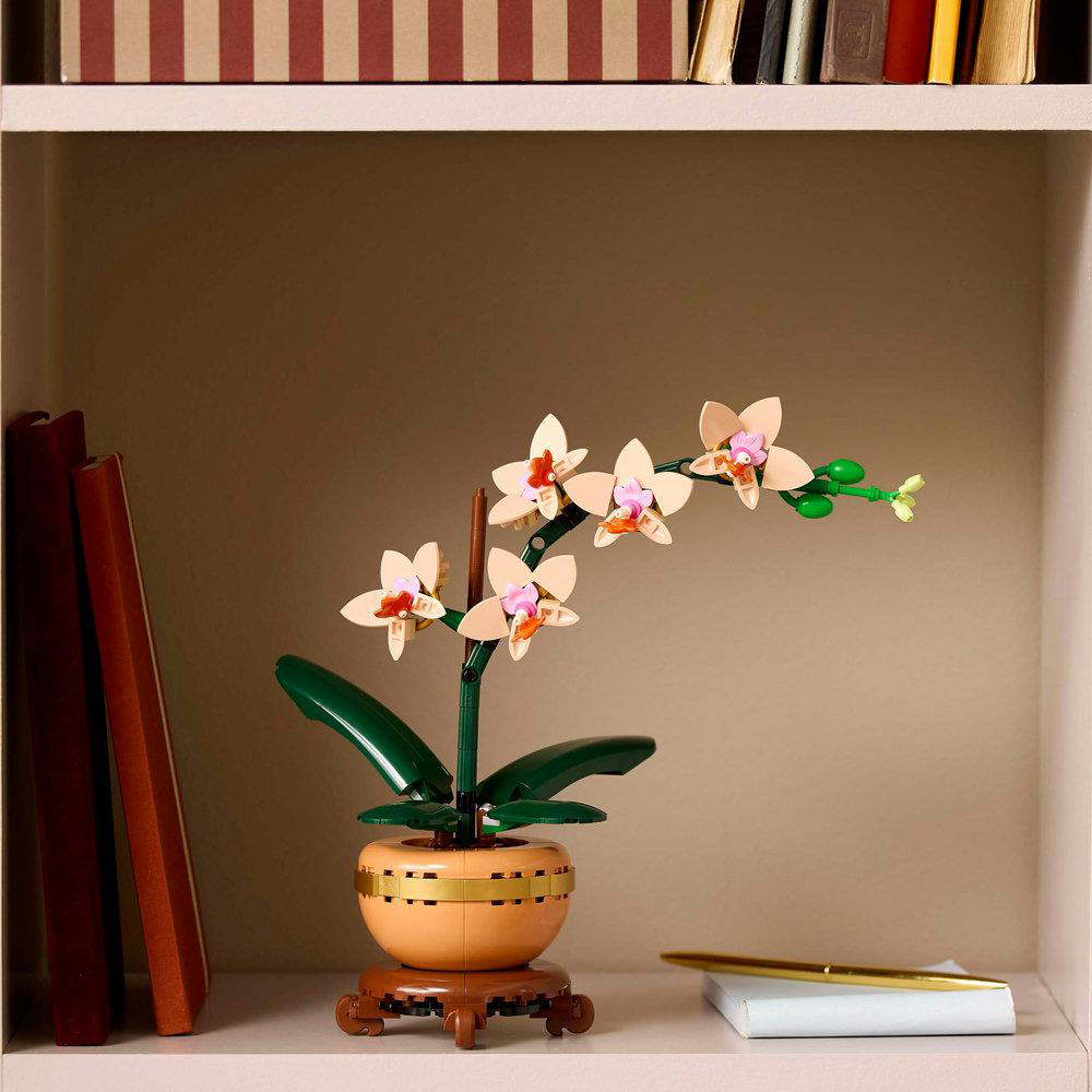 Lego Orchideenpflanze auf einem Regal. Beige Blüten mit pinkfarbenen Zentren und grünen Blättern in einem beigen Topf.