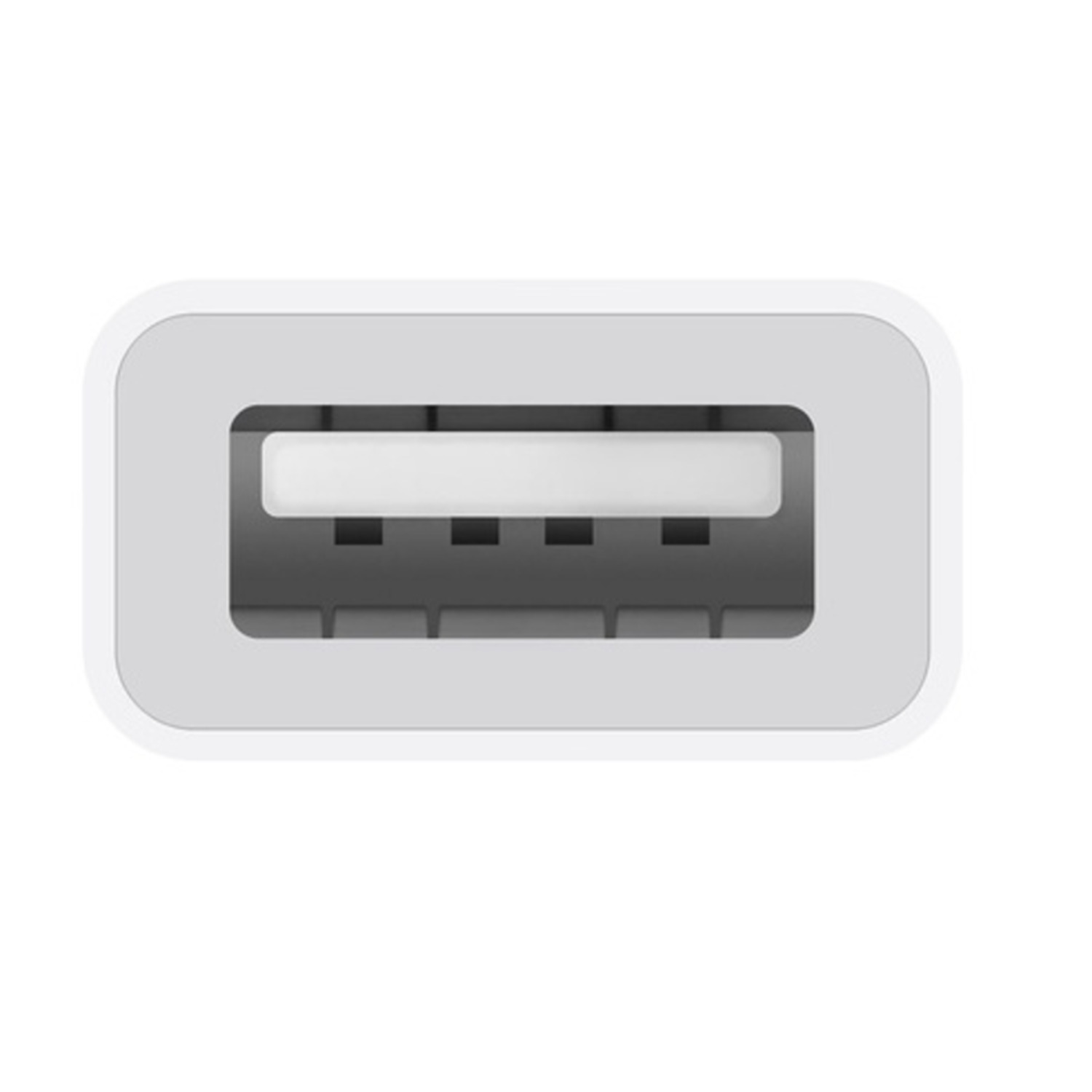 A close-up of a white USB port.