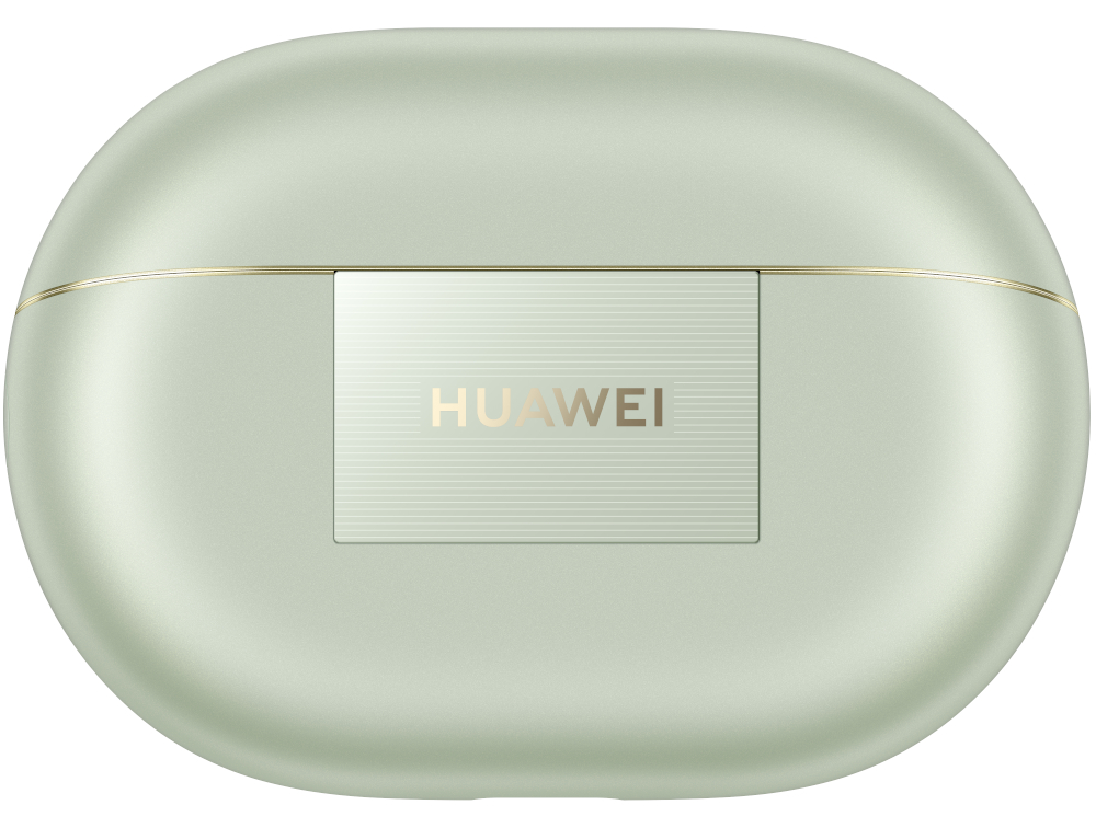 Zielone etui ładujące dla słuchawek bezprzewodowych. Etui zamknięte, ze złotą linią.