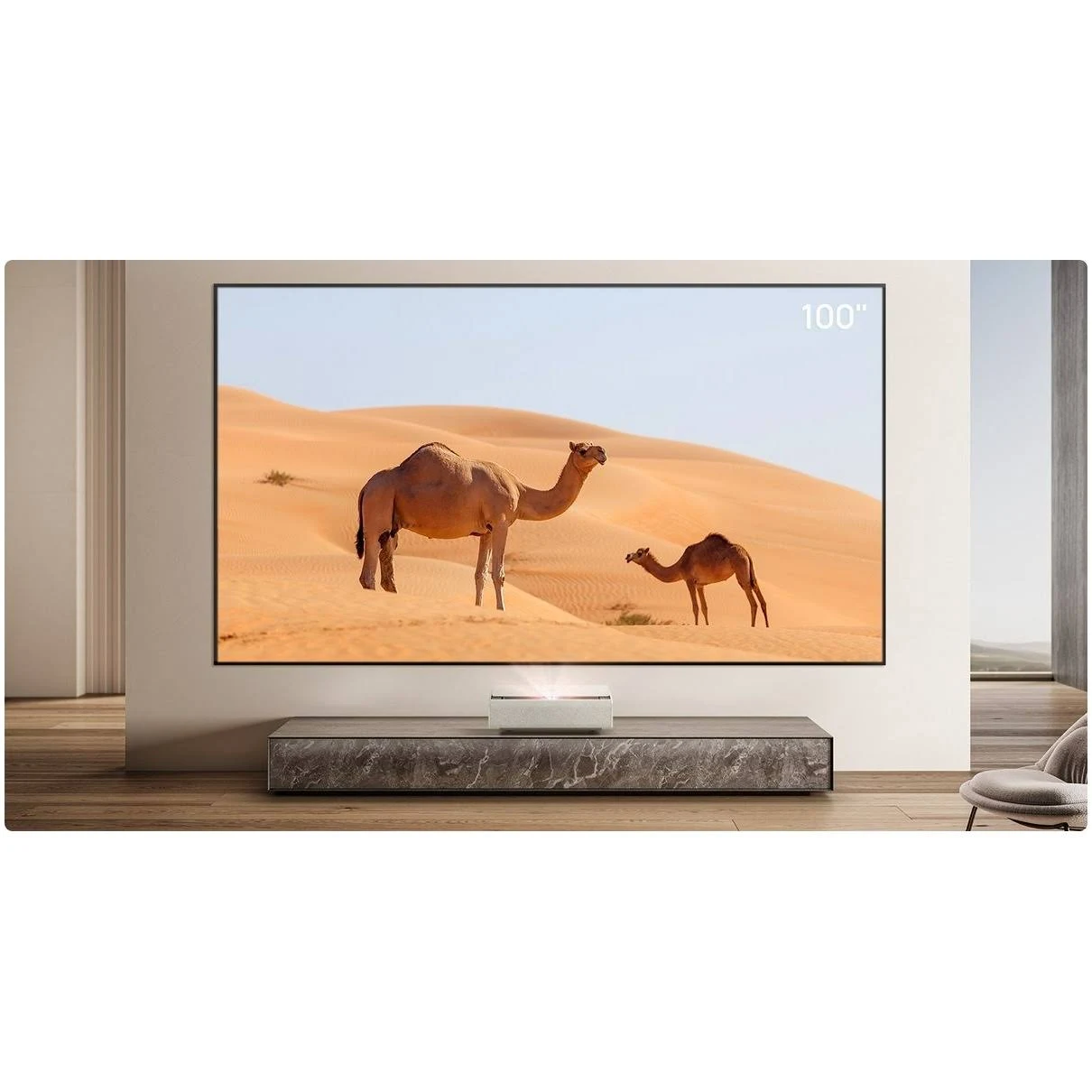Habitación con dos camellos en pantalla. Proyector en estante bajo. Dunas de arena visibles.