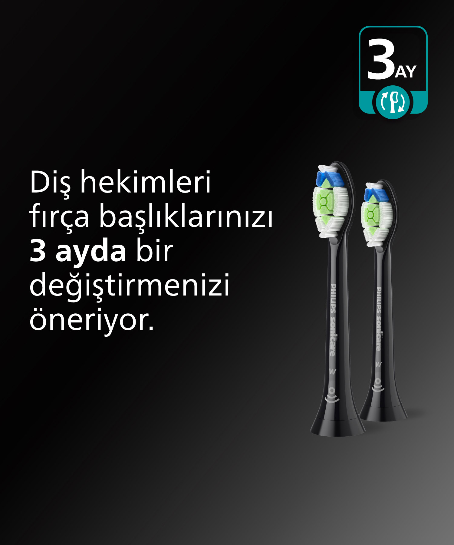 İki diş fırçası başlığı metinle birlikte gösteriliyor.
